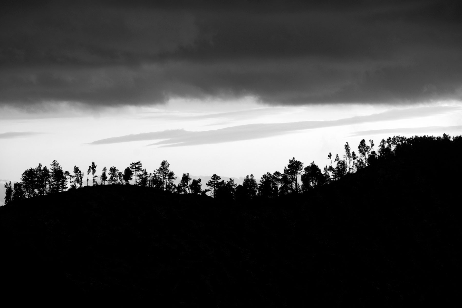 Critica al buio - Foto 032a