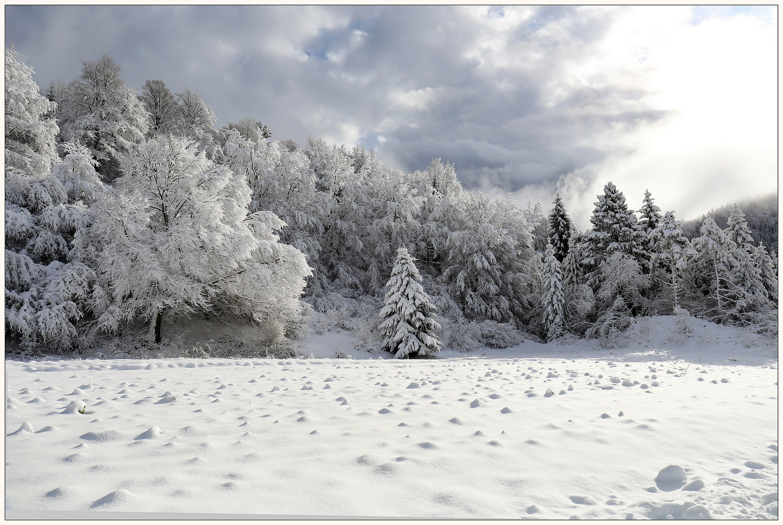 ...e son cavoli ghiacciati.