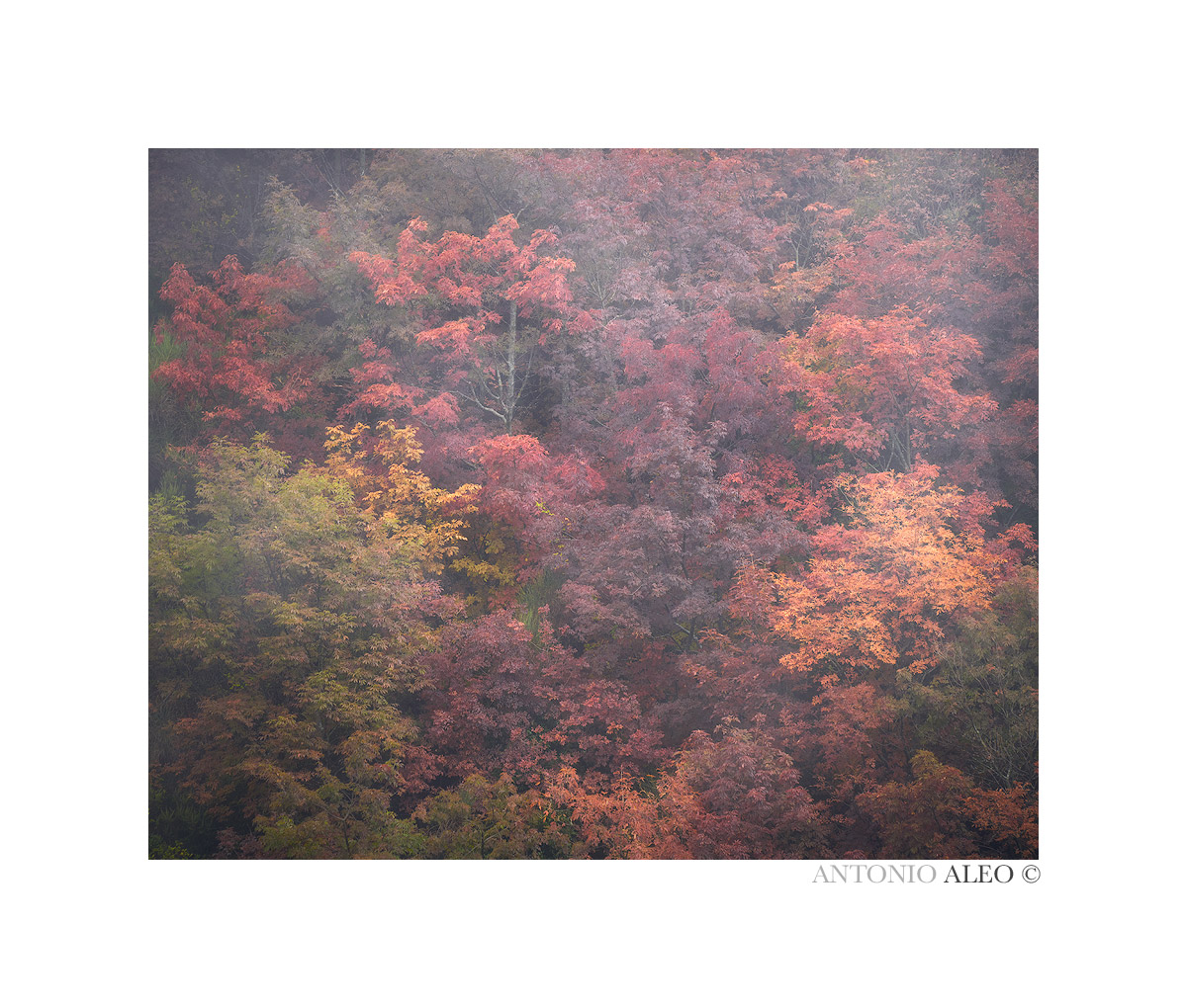 Discesa verso l inferno