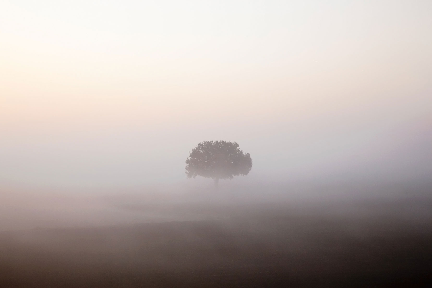 Critica al buio - Foto 036