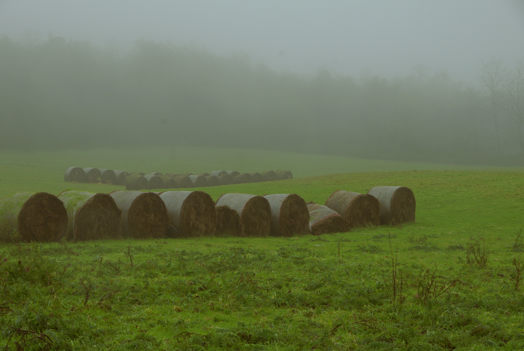 Tra nebbia ed acqua..
