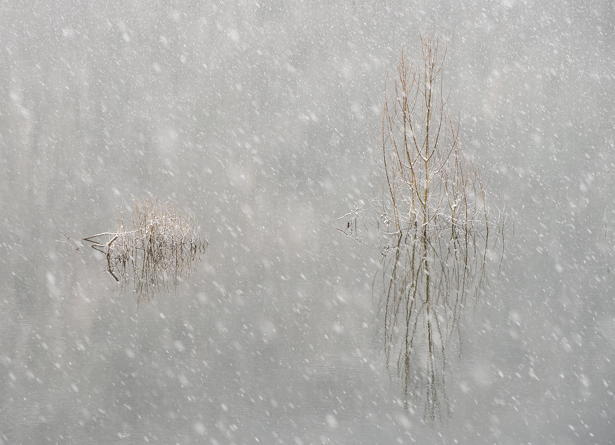 Impressioni Invernali