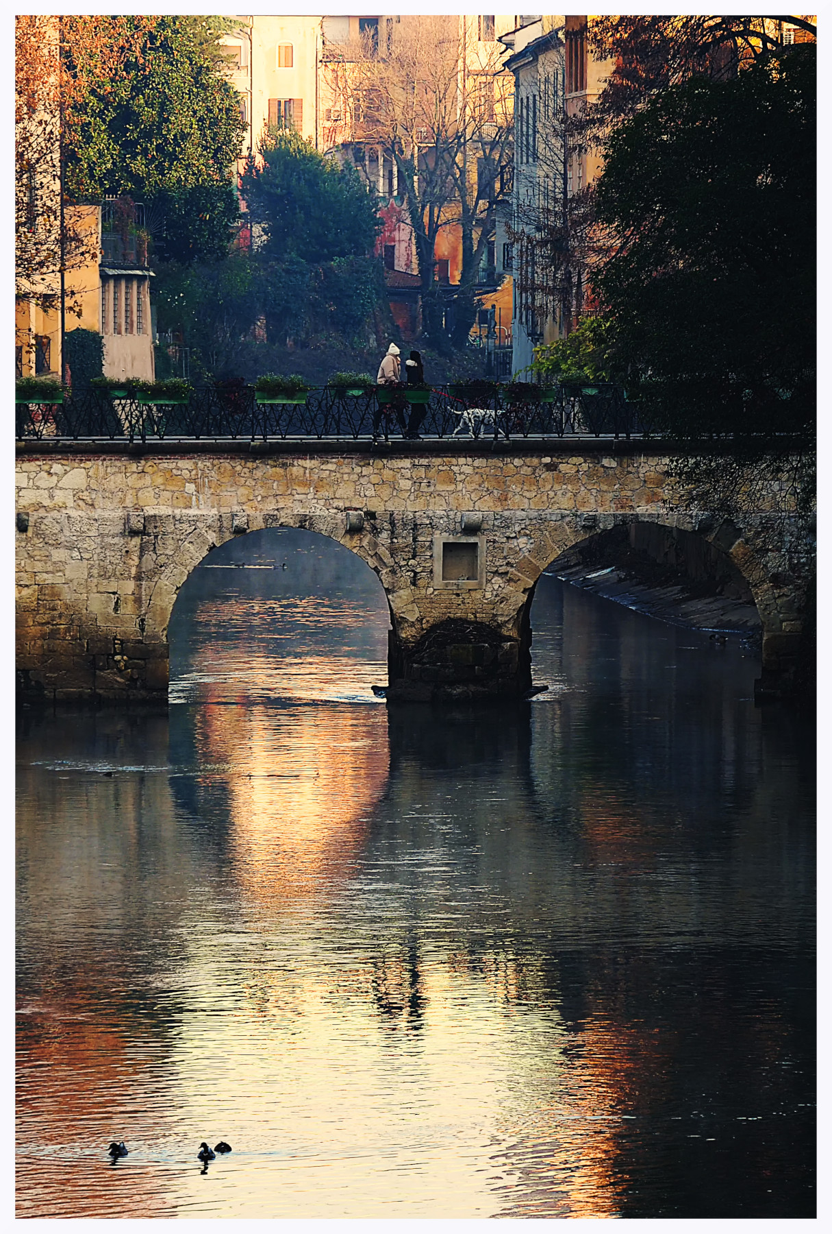 Passanti sul Retrone