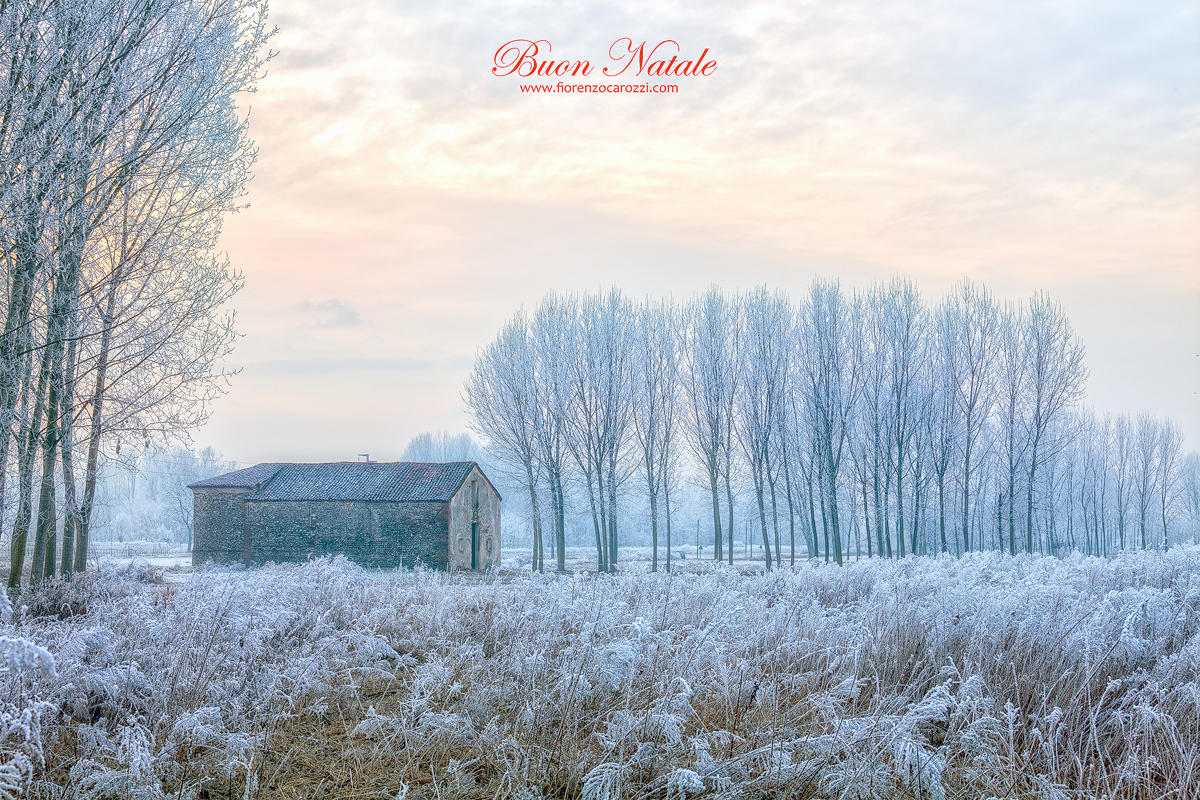 Buon Natale