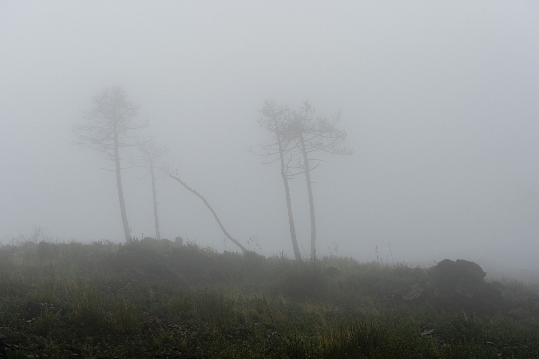 Quel che rimane II\II