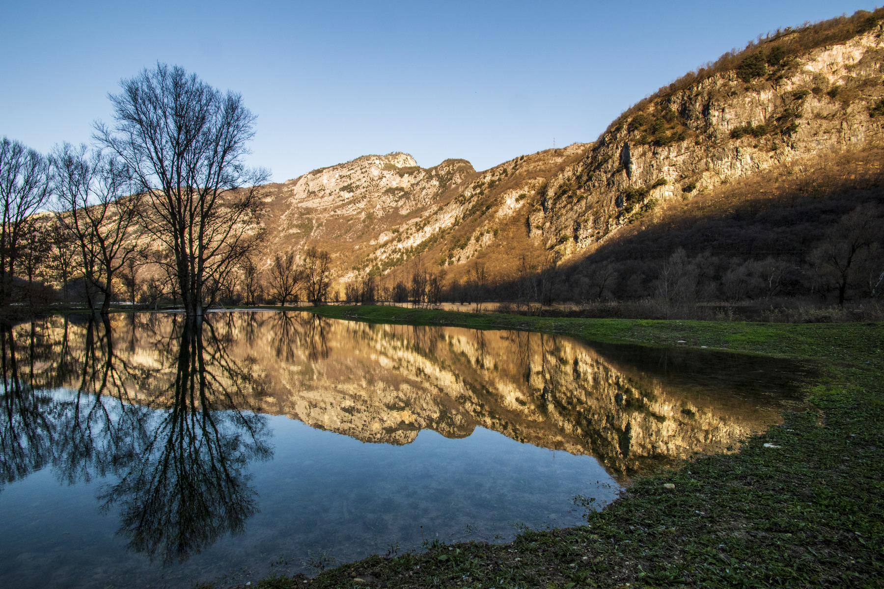 Specchio delle mie brame......