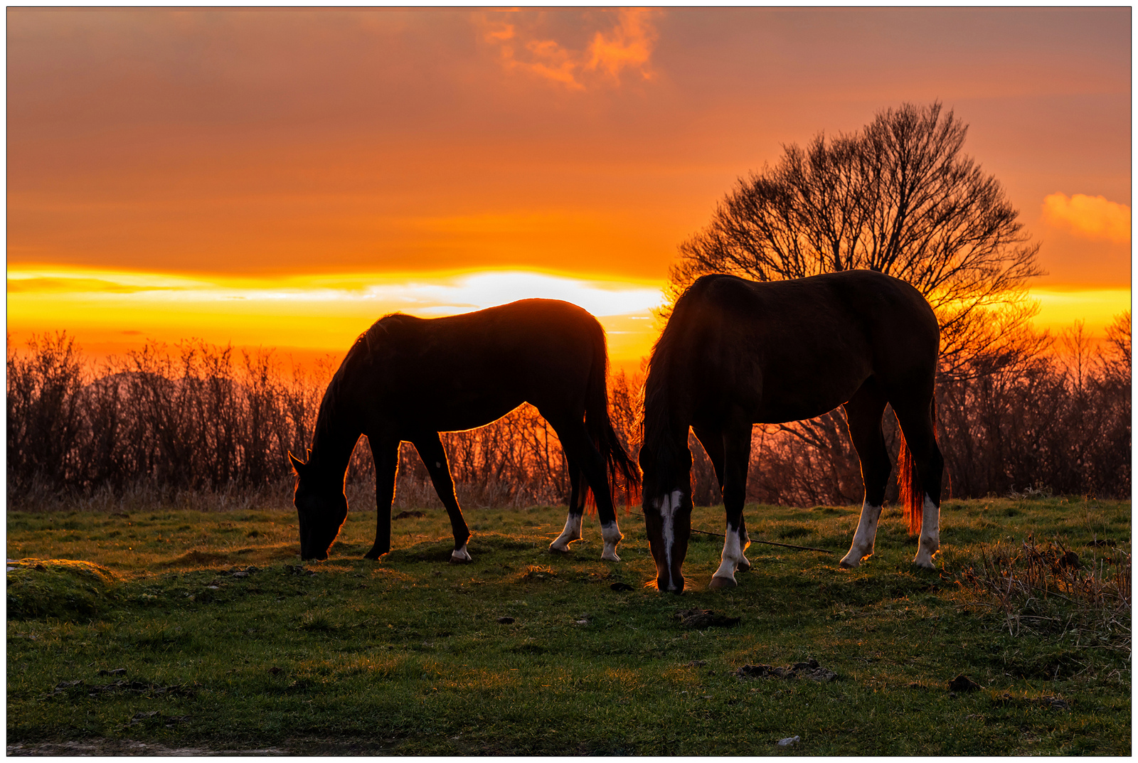 Ultime brucate della giornata.