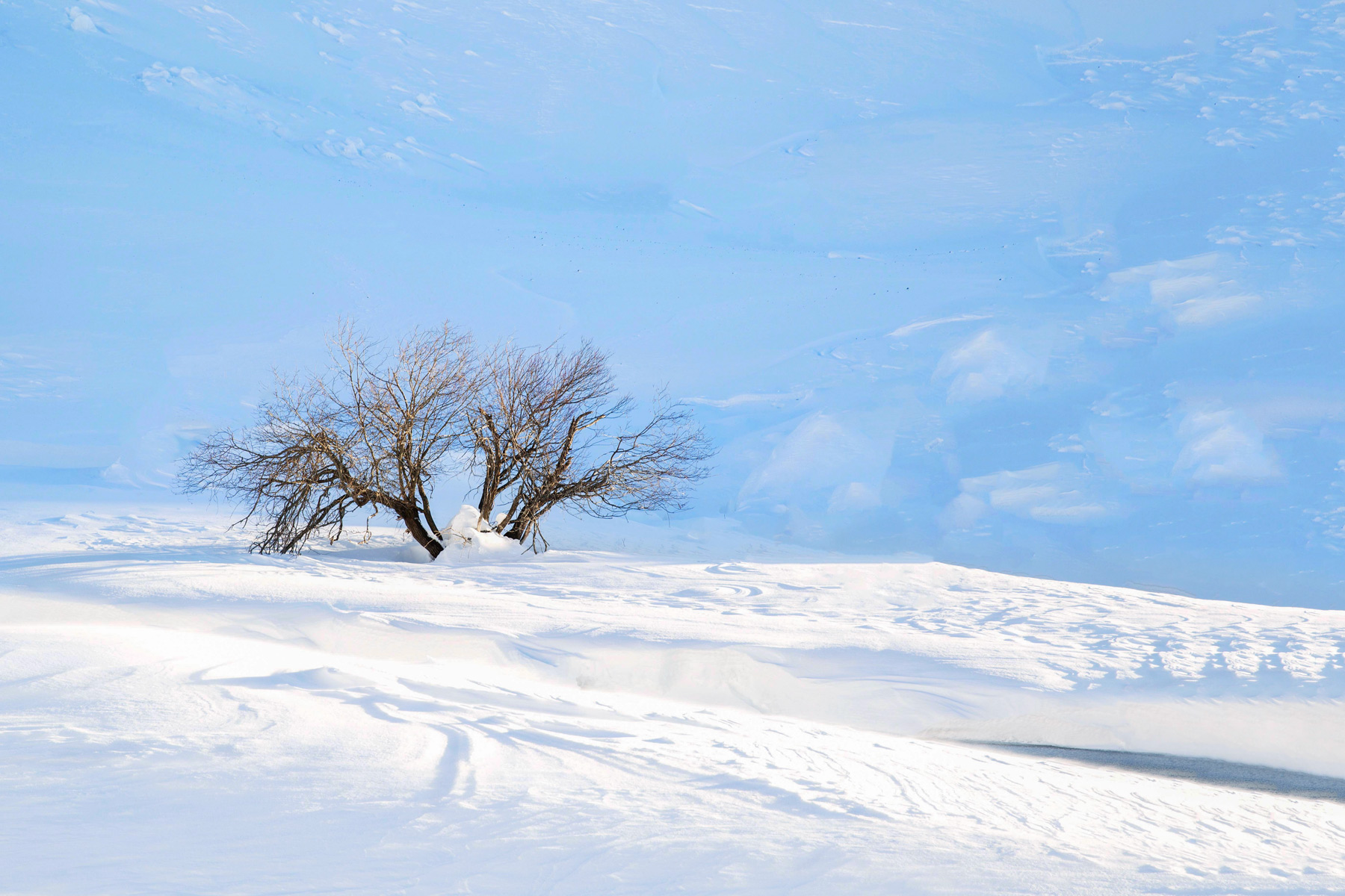 Ad un passo dal cielo