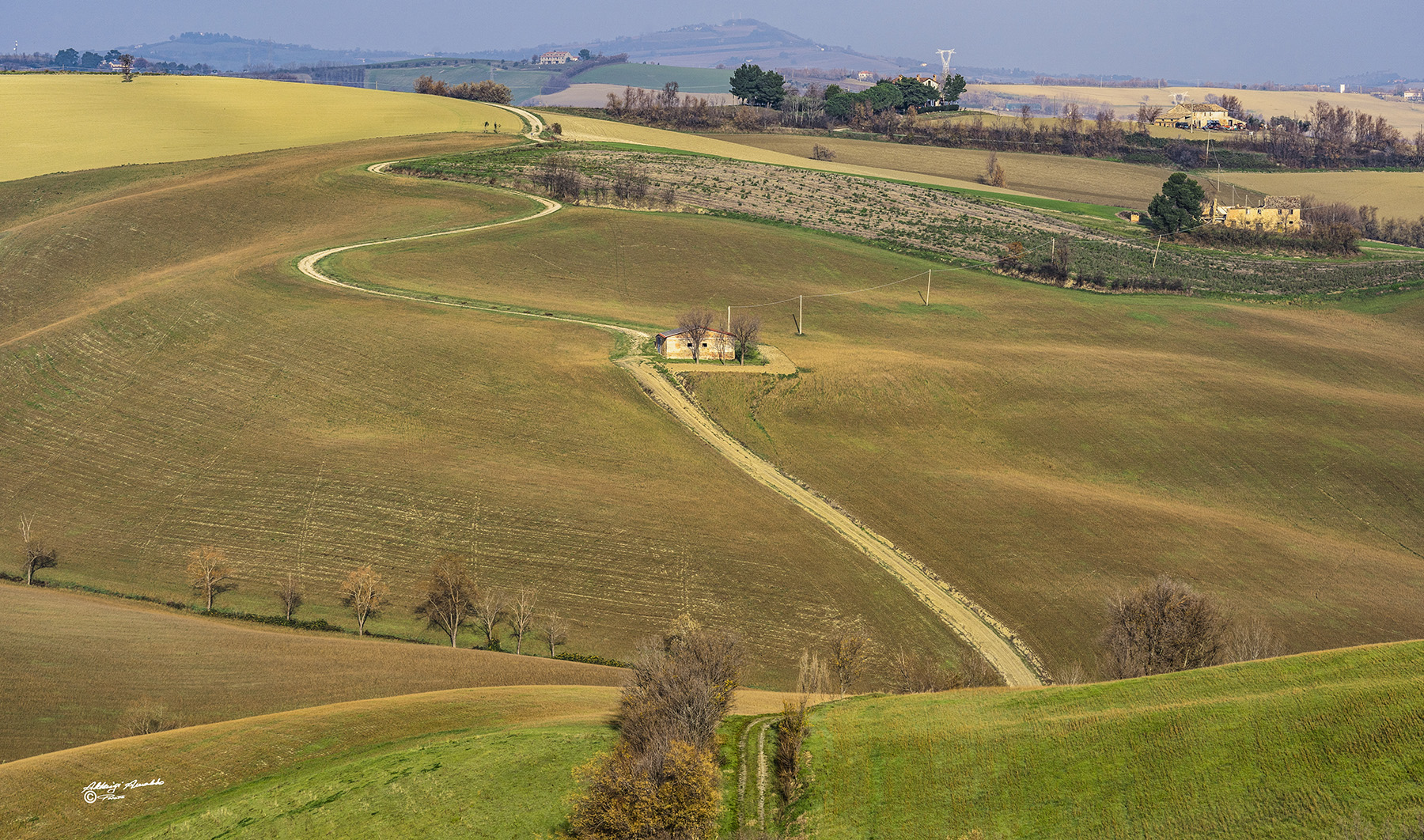 La stradina nella Campagna..