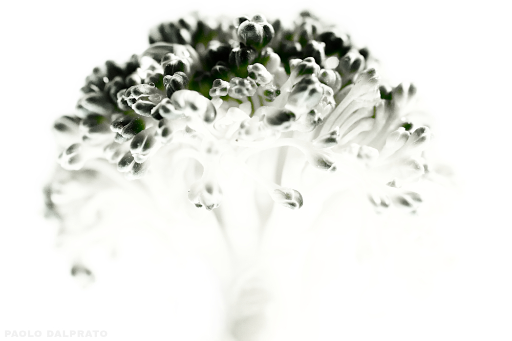 Cibo e quello che c'� intorno