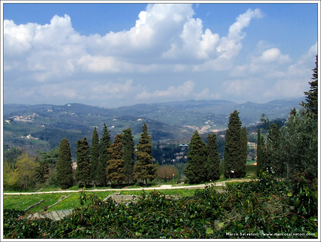 Panorama