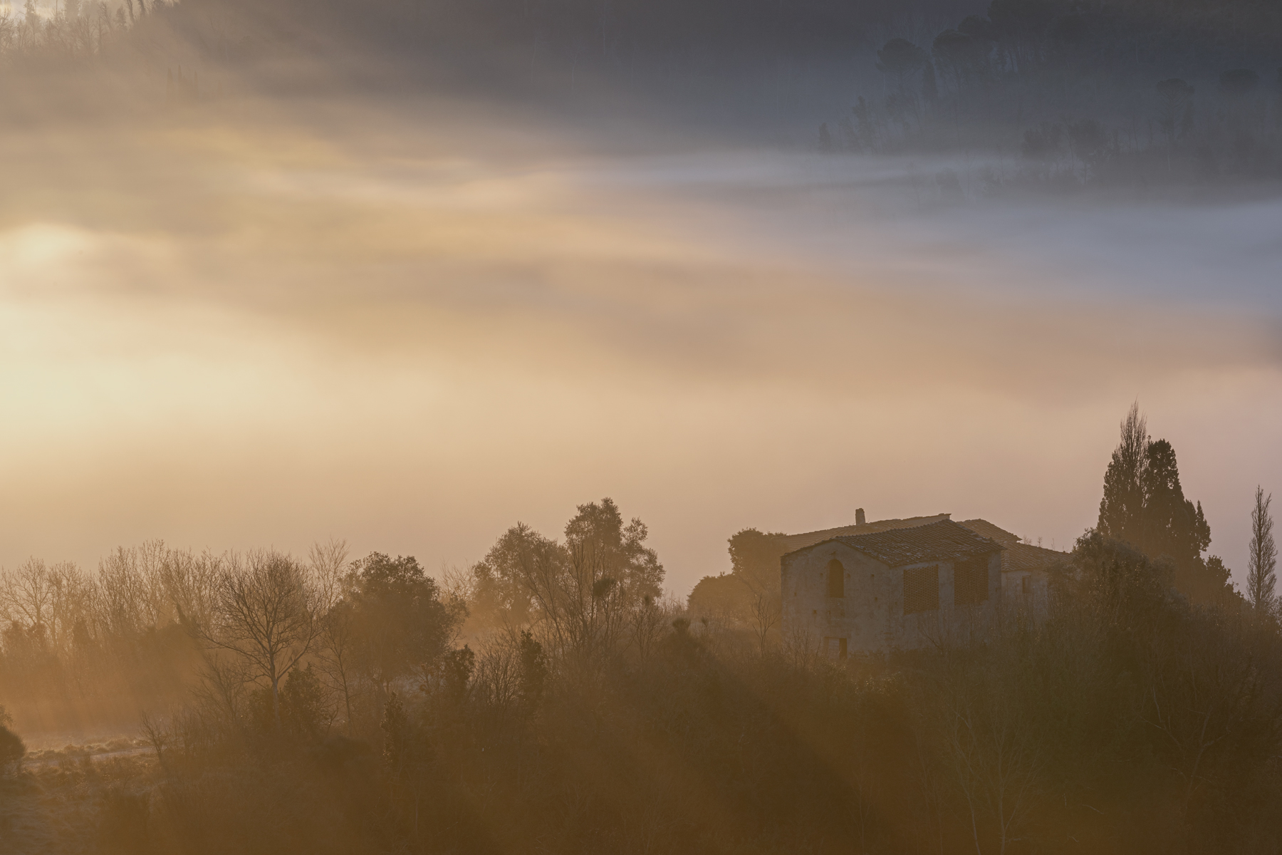 Colline Toscane II