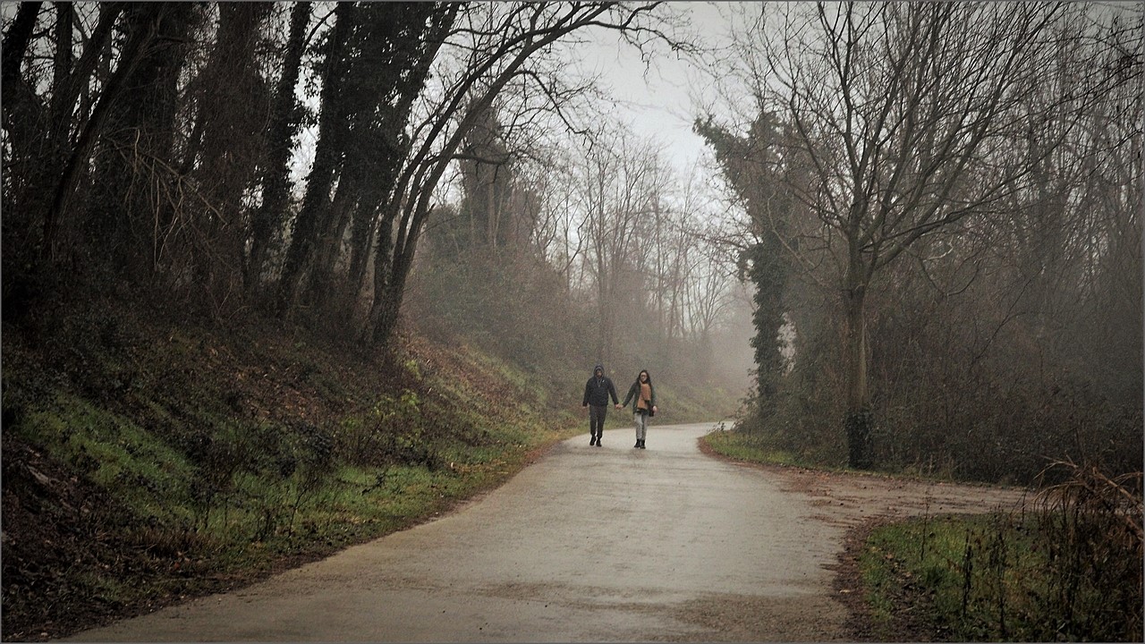 Isola della Cona (GO) img.08