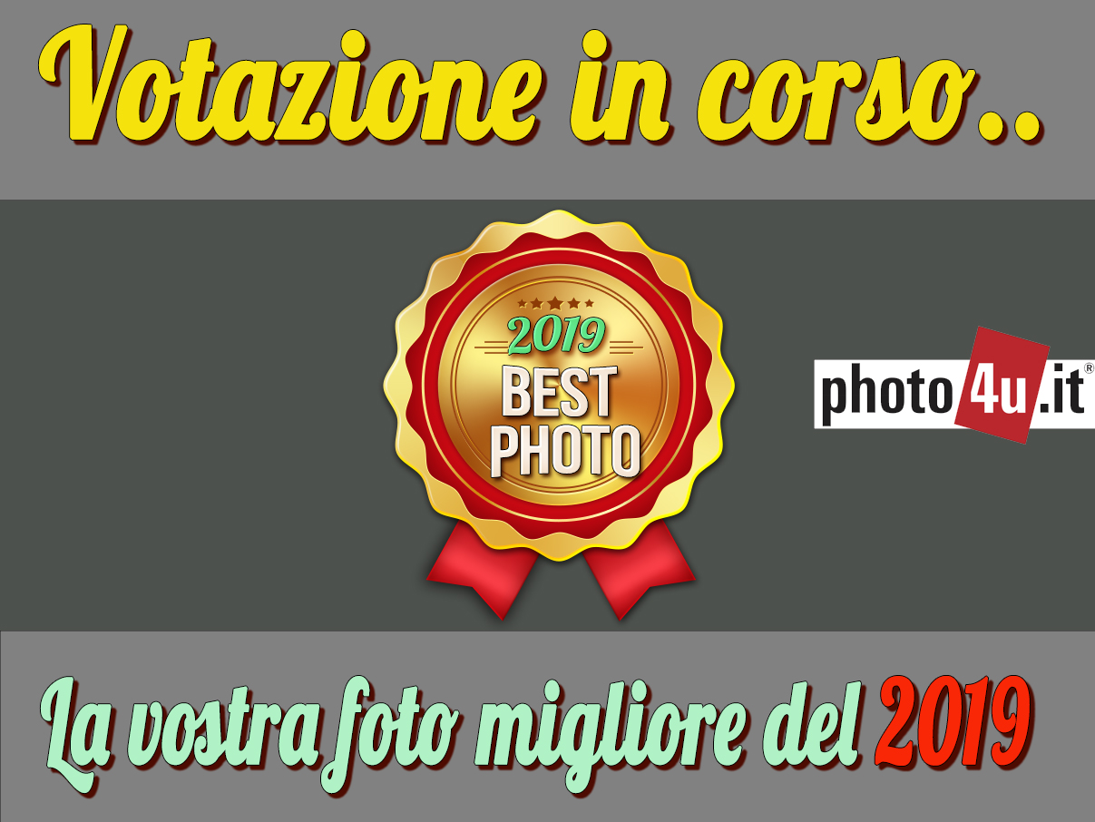 La nostra foto migliore del 2019 su photo4u.it