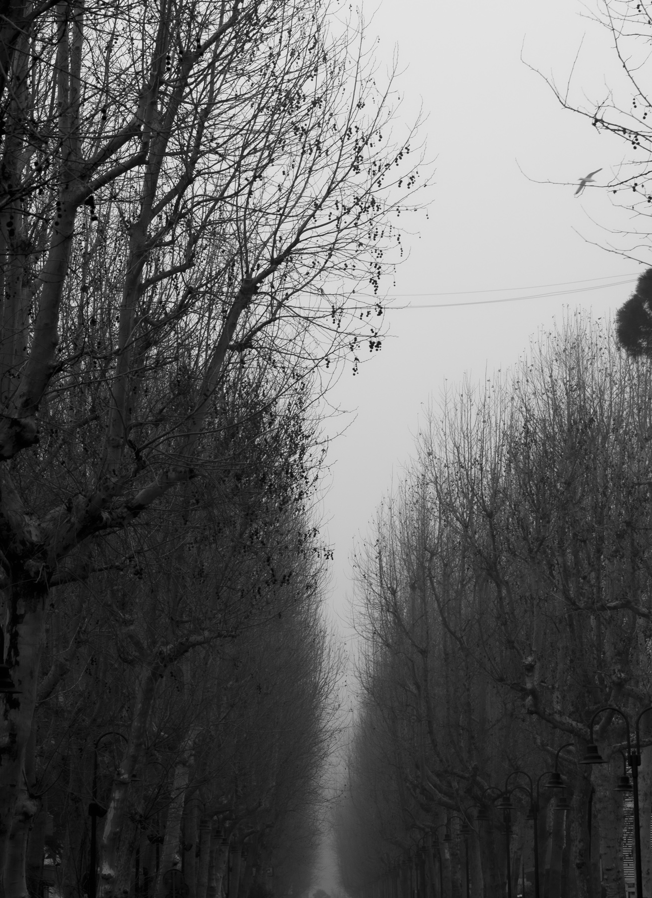 Speravo fosse una giornata di sole