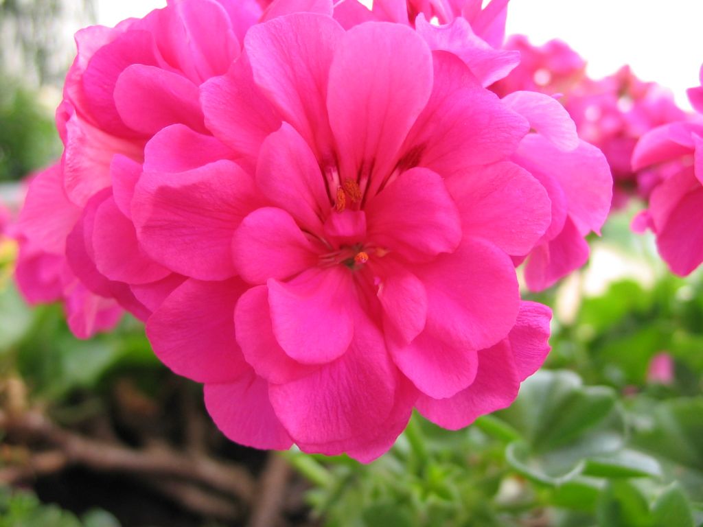 primo scatto in assoluto