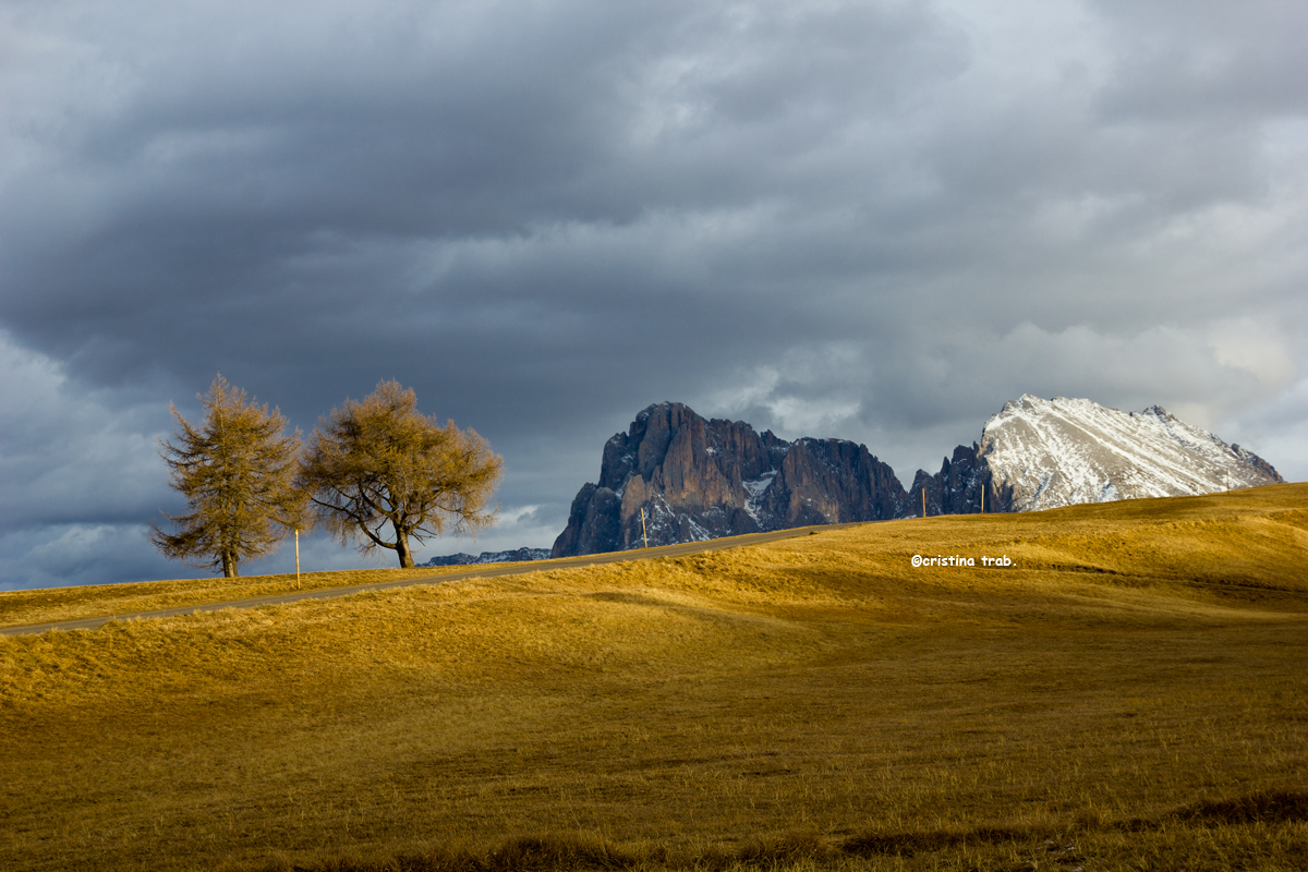 Aspettando l'inverno