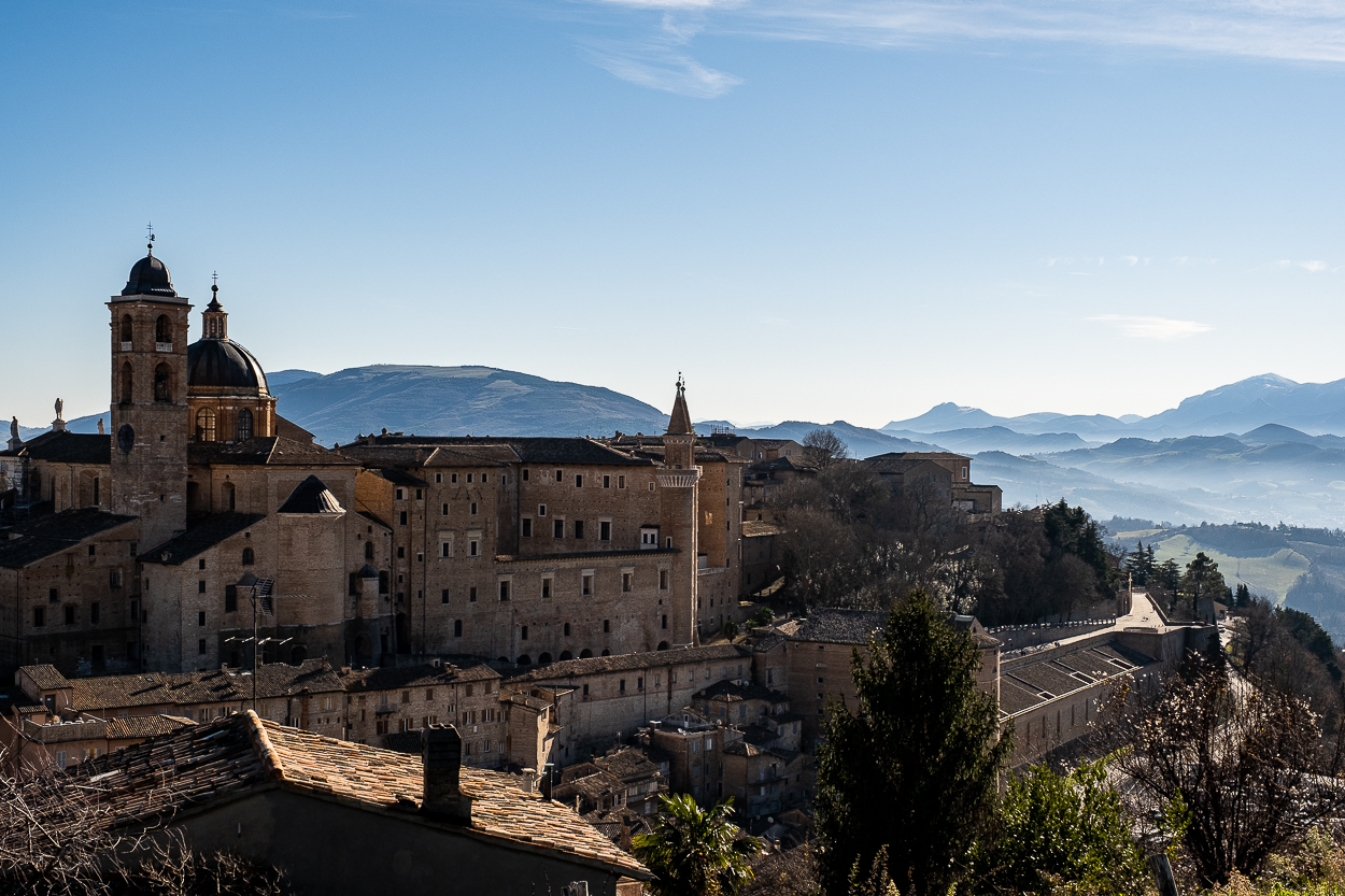 Urbino