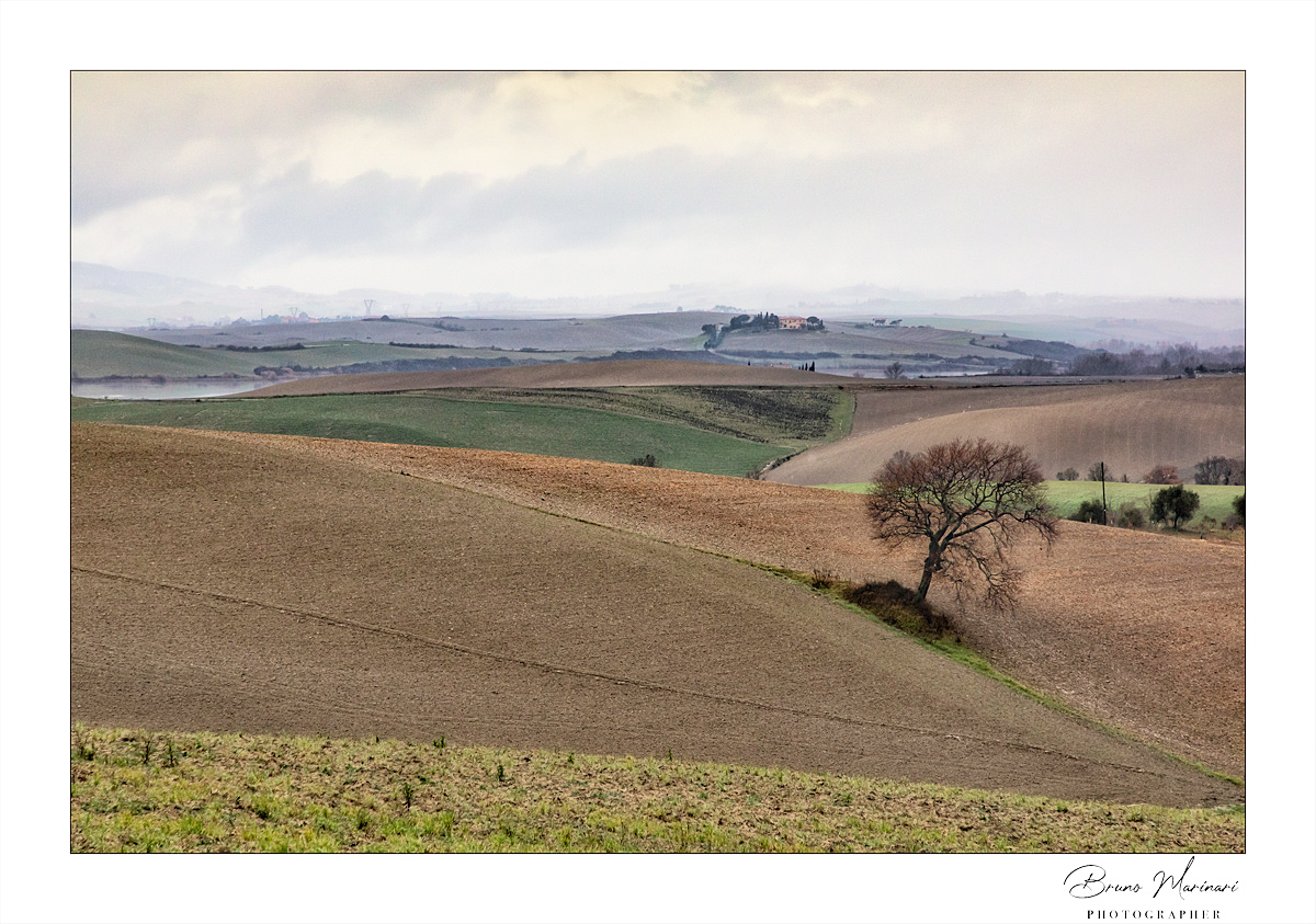 Colline Toscane