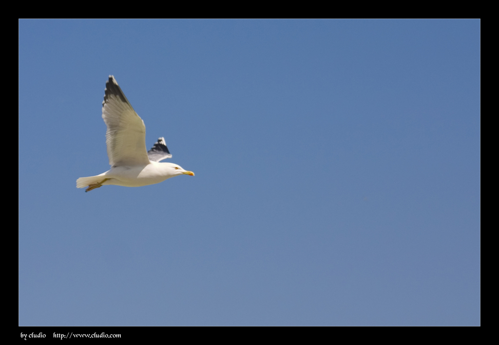 da dove arrivera?!? dove andr�?