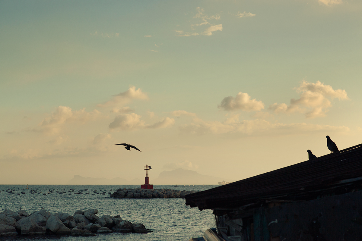 Spettatori Non paganti