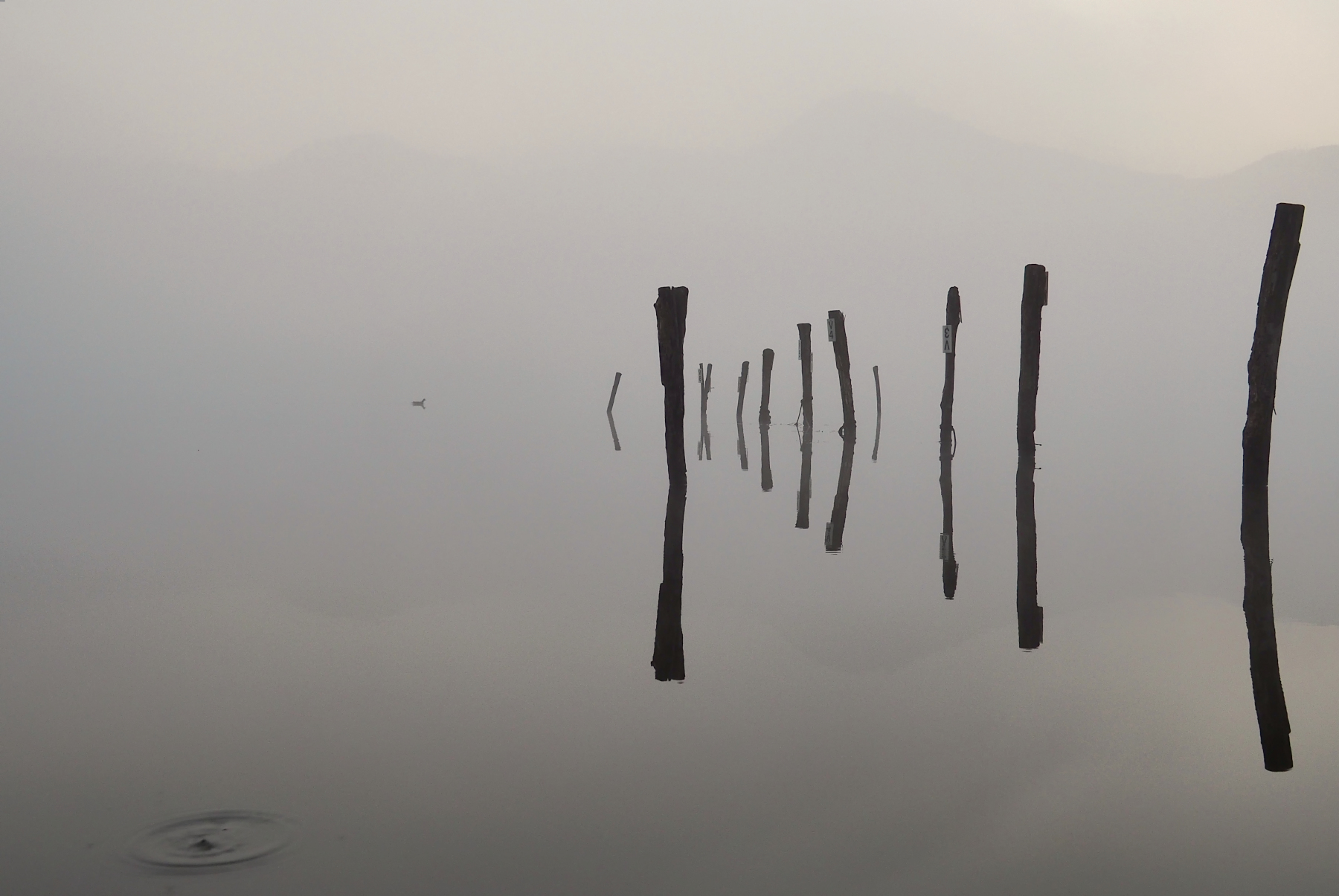 Prime luci al lago nebbioso