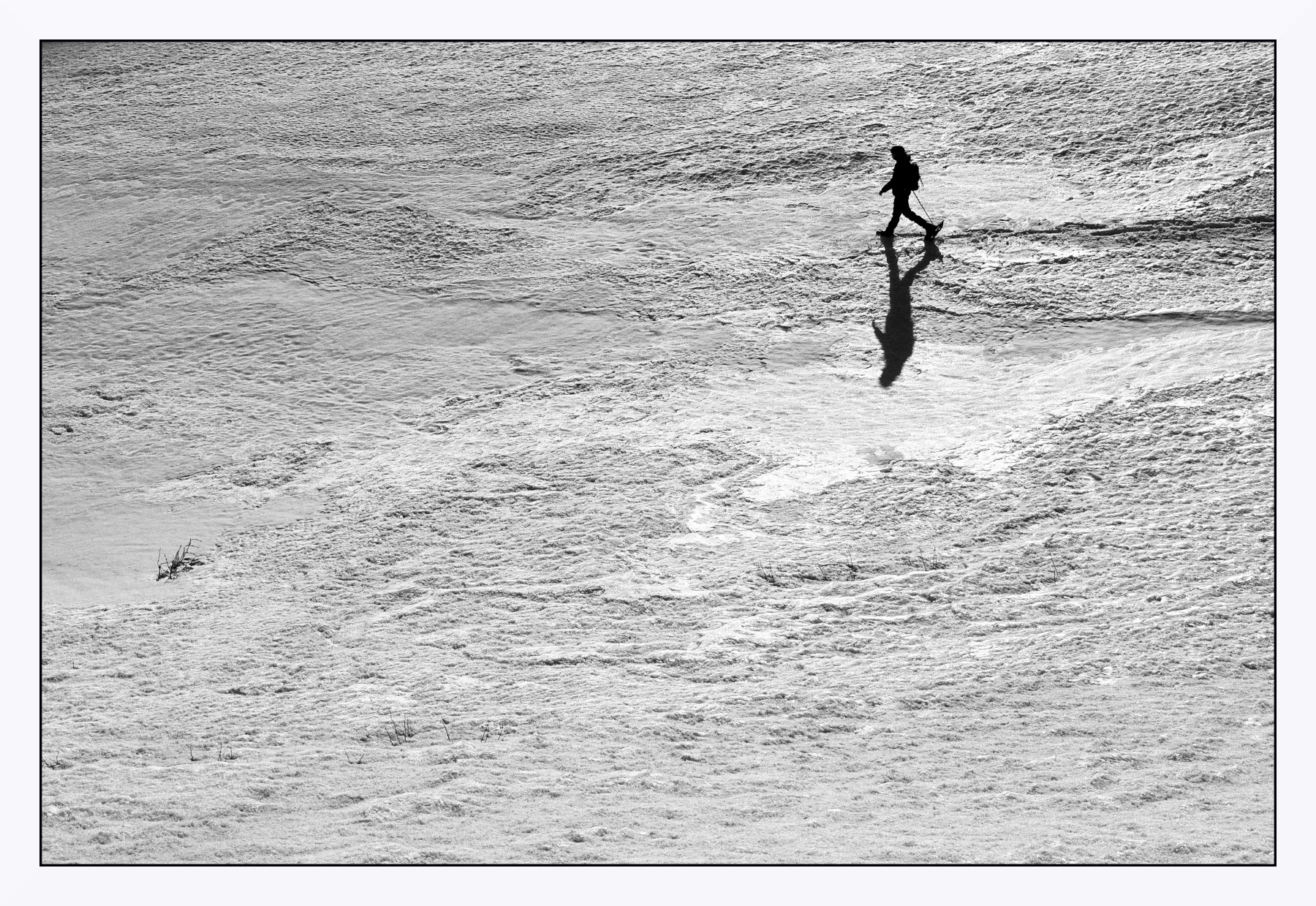 Camminando sul bianco