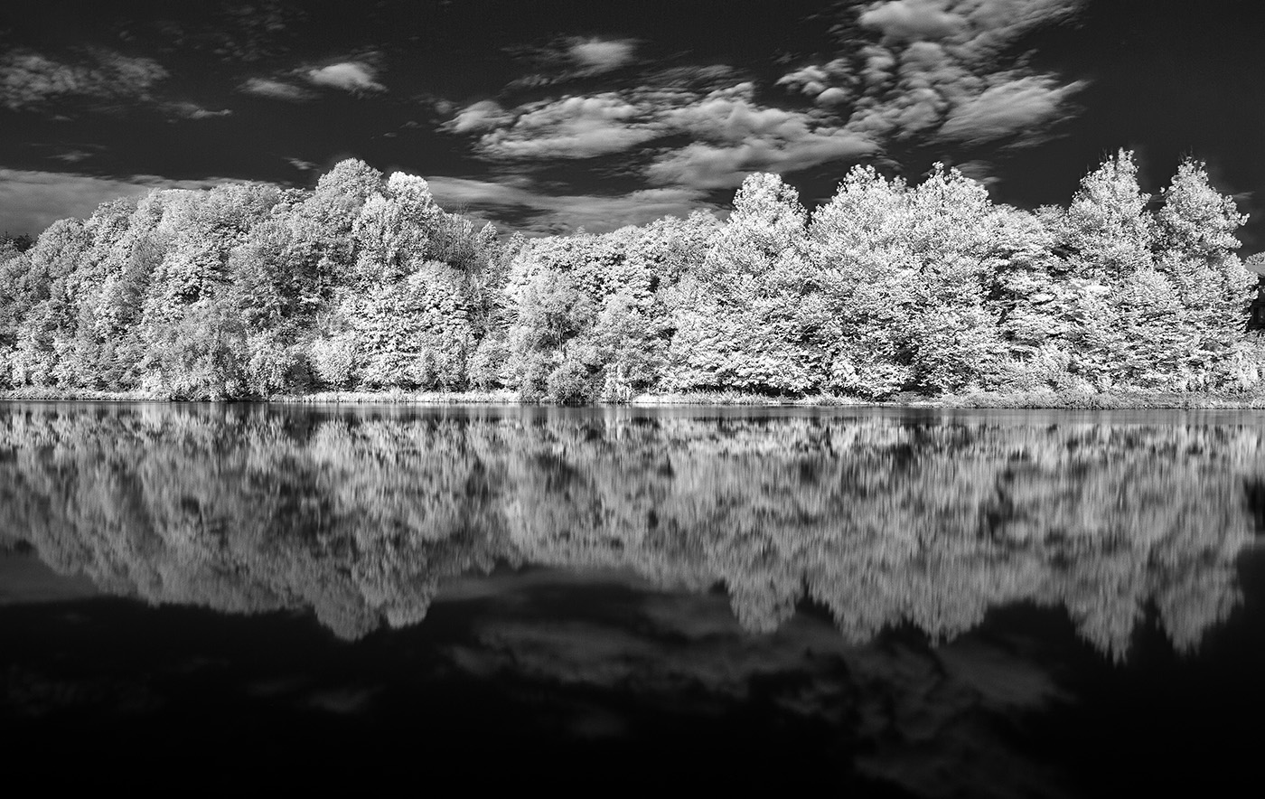 Specchio delle mie brame