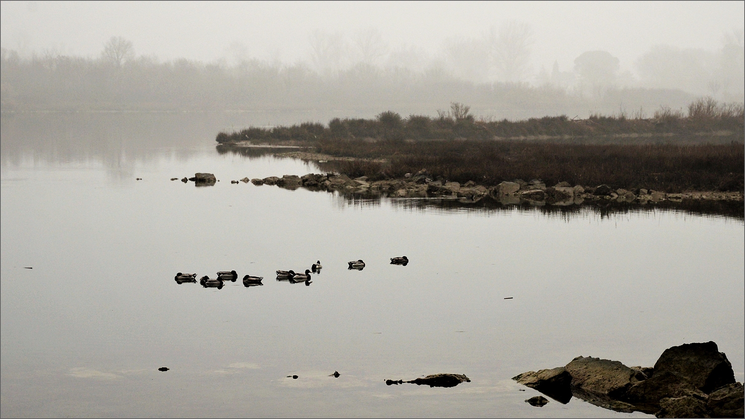 Isola della Cona (GO) img.07