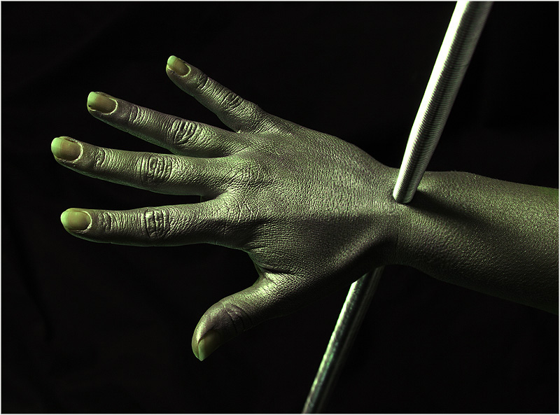 die gier und die b�ndigung des verlangens