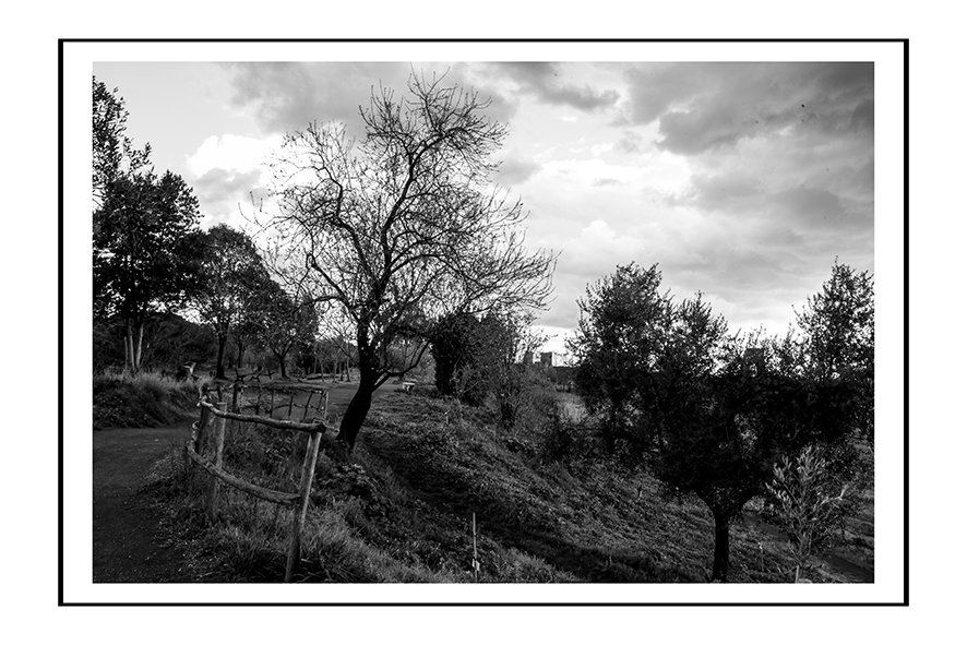 Parco degli Acquedotti