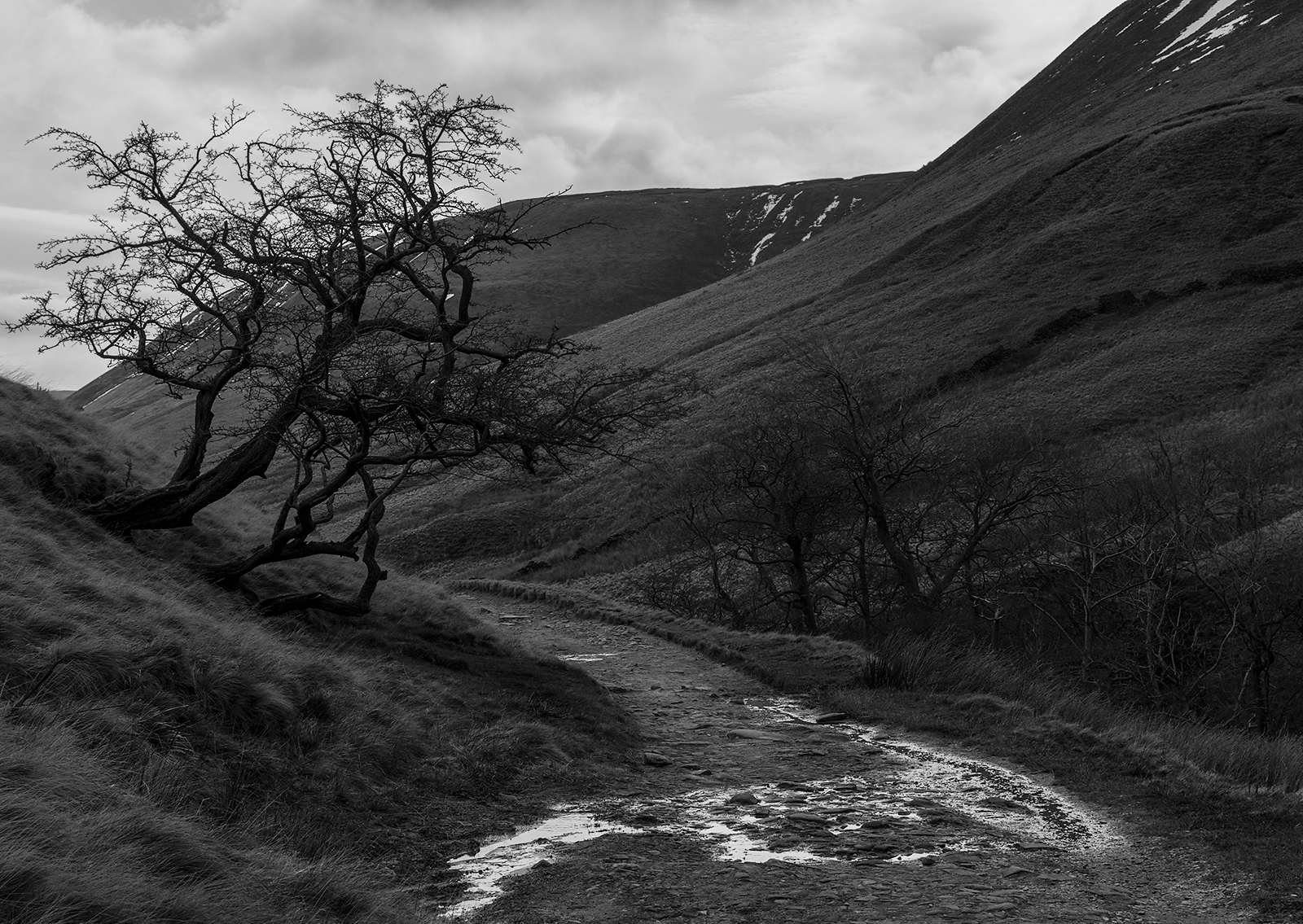 follow the path