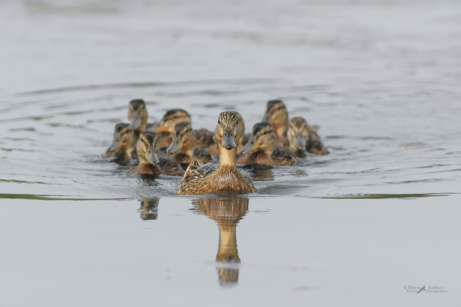 Mamma-germana-e-famiglia_DSC8811