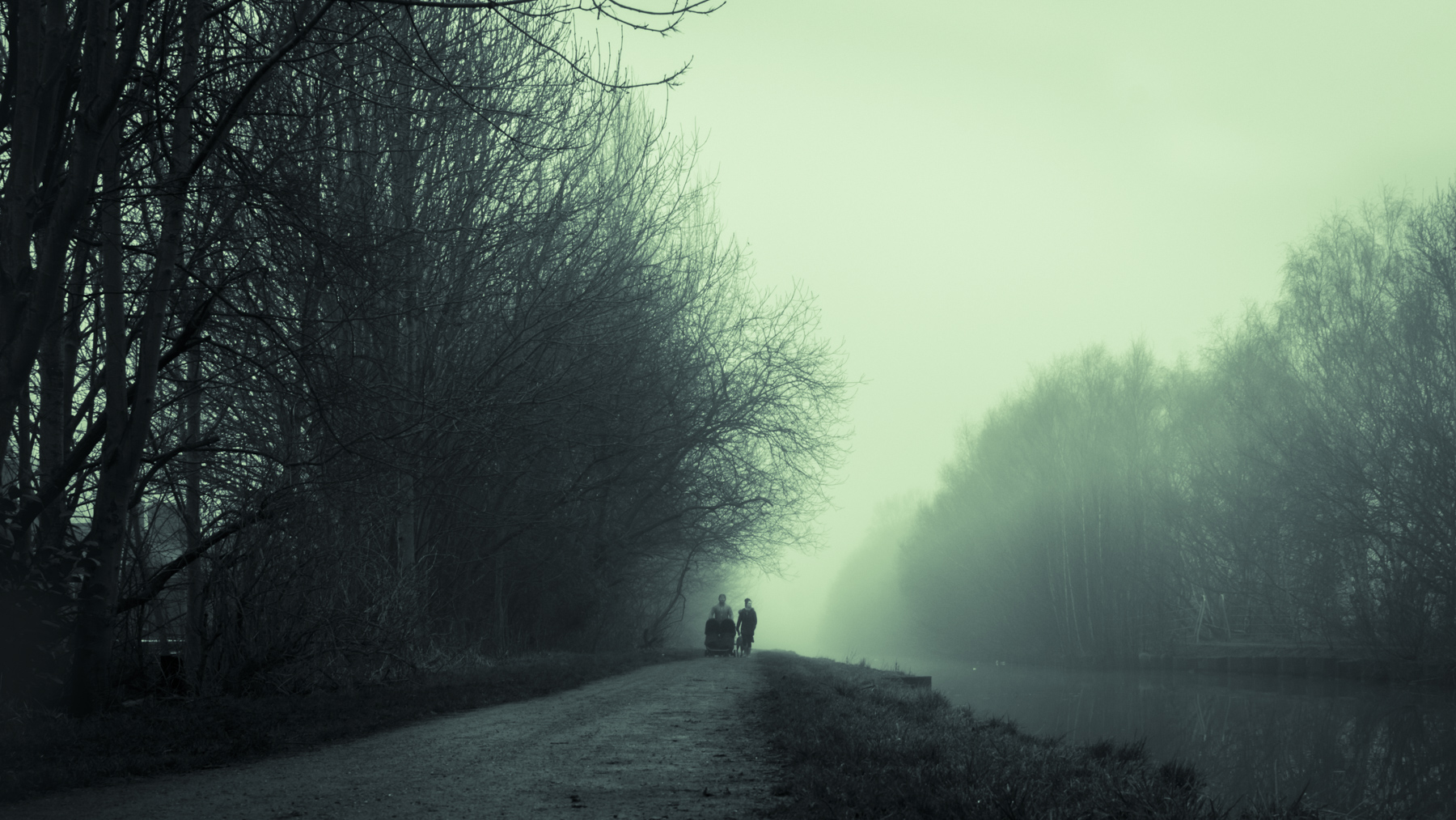 Alone in the fog