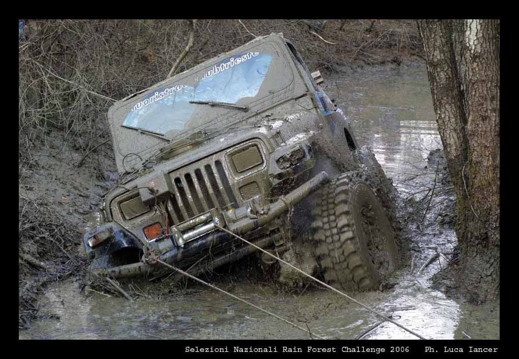 selezioni raiforest 06