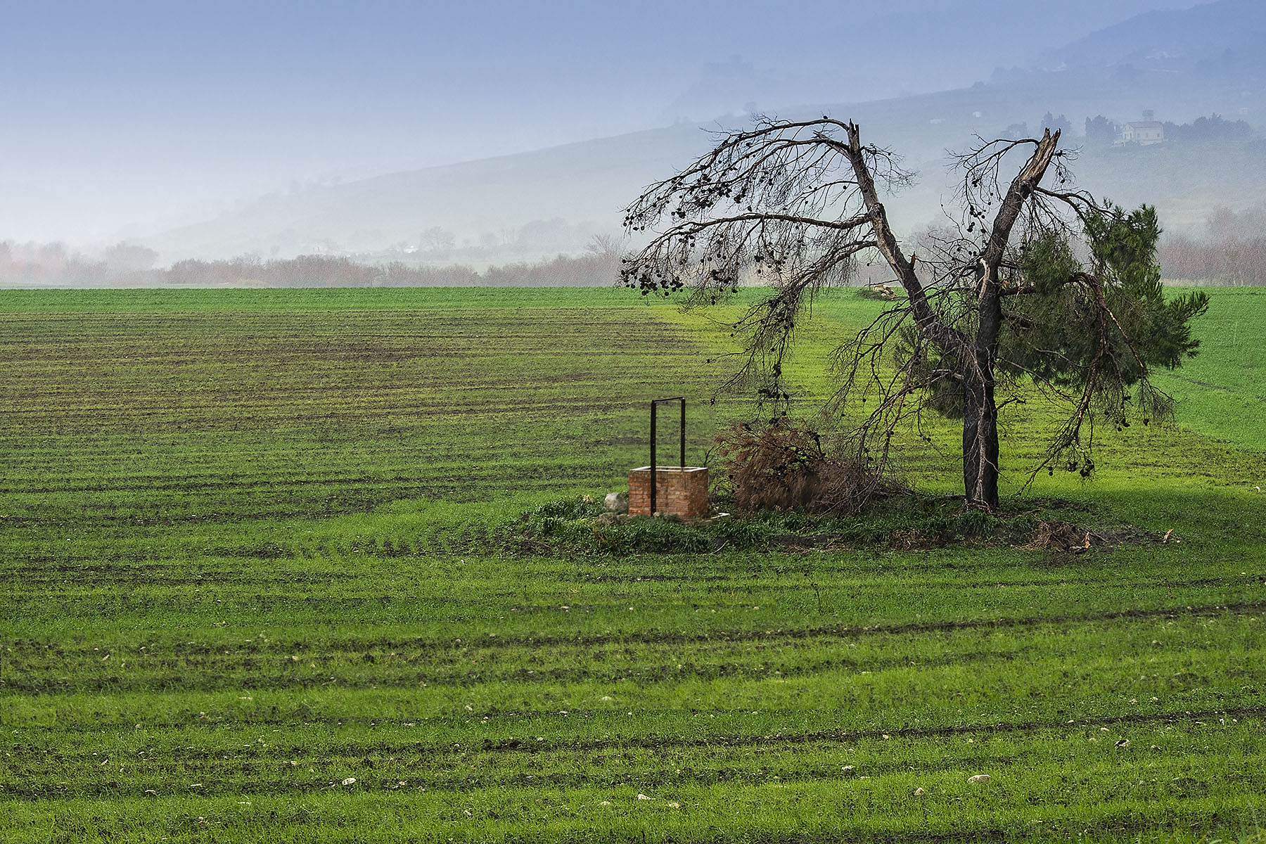 Quasi primavera