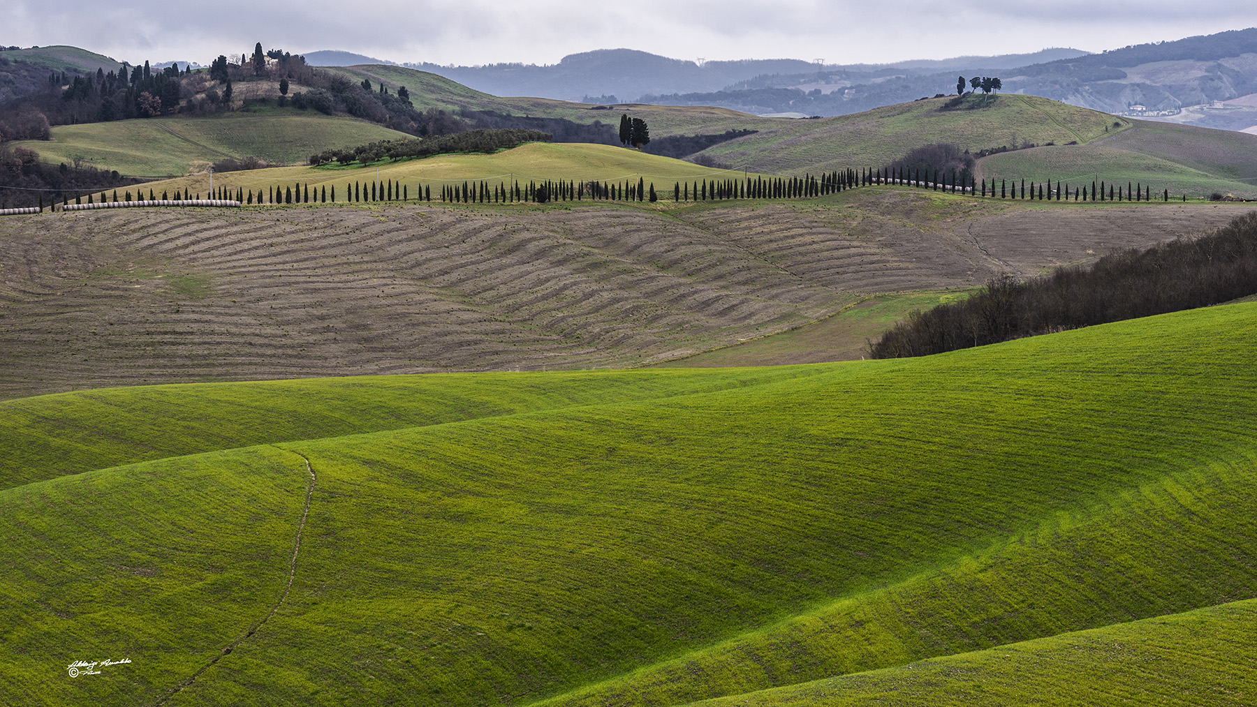 Colline toscane..