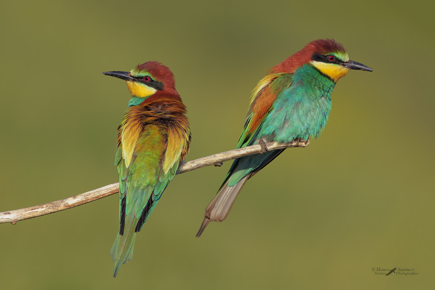 Opposti e contrari_DSC0106