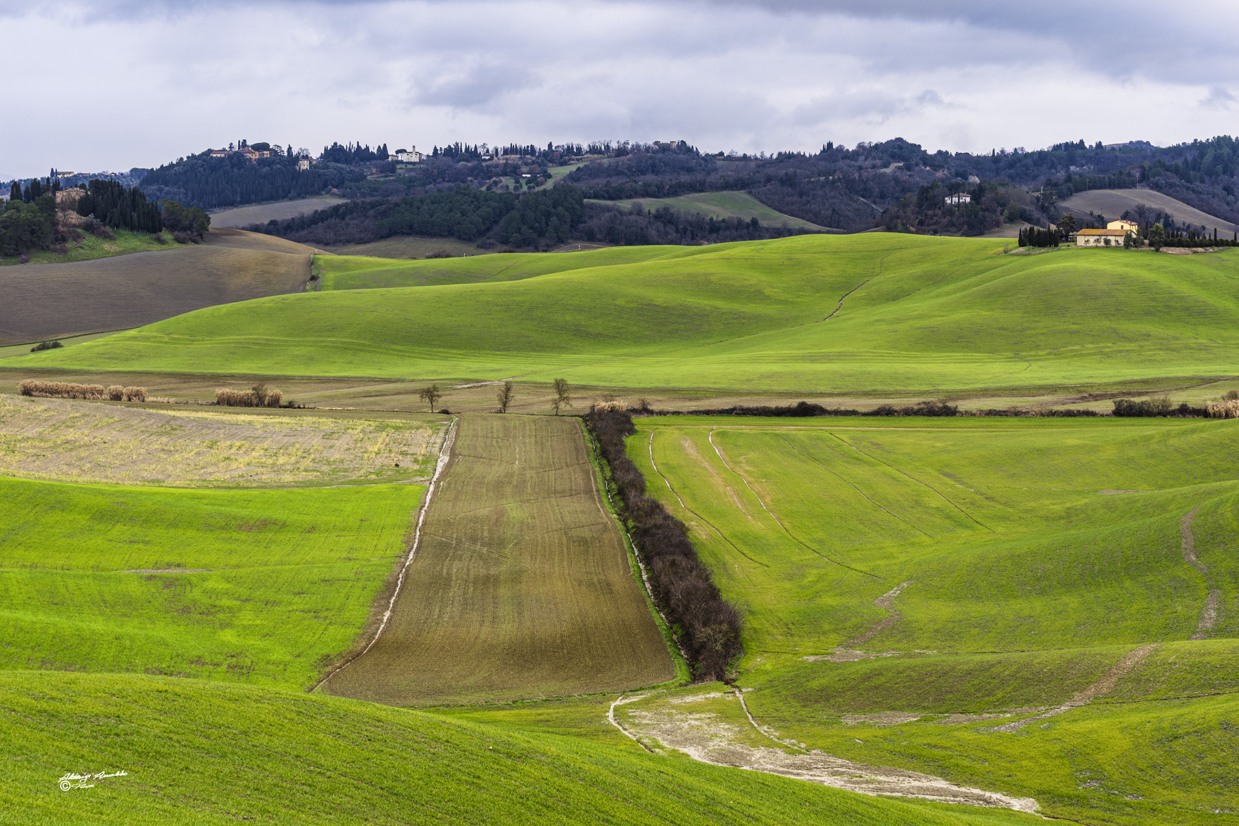 Colline Toscane nel verde..