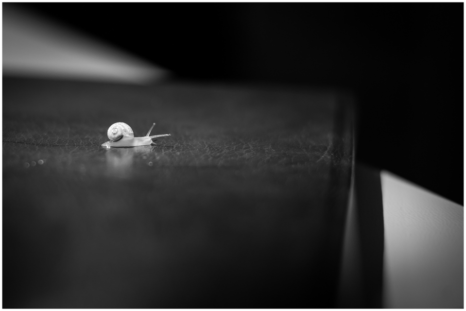 Il lento scorrere di questi giorni