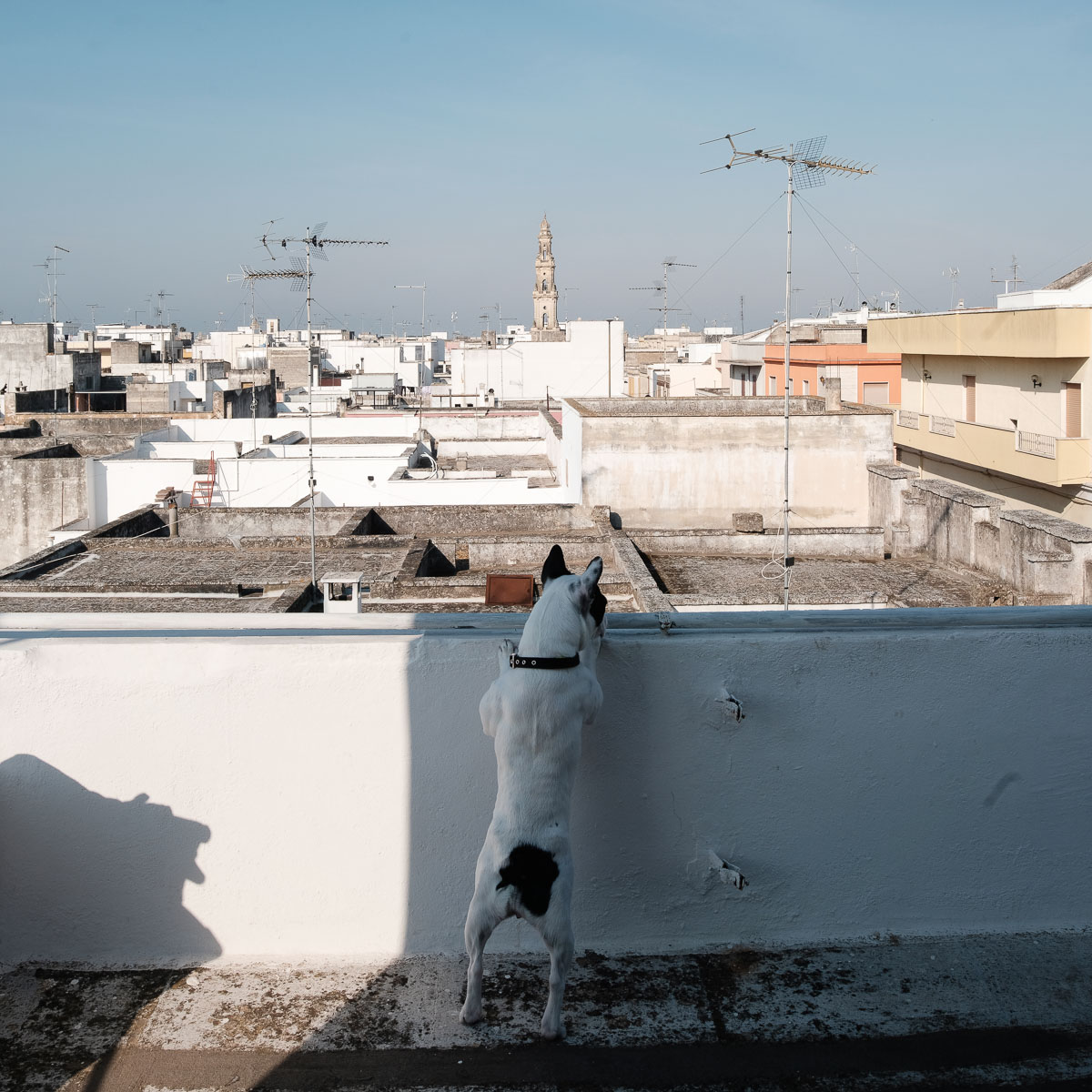 Trepuzzi 2020 - Loggia