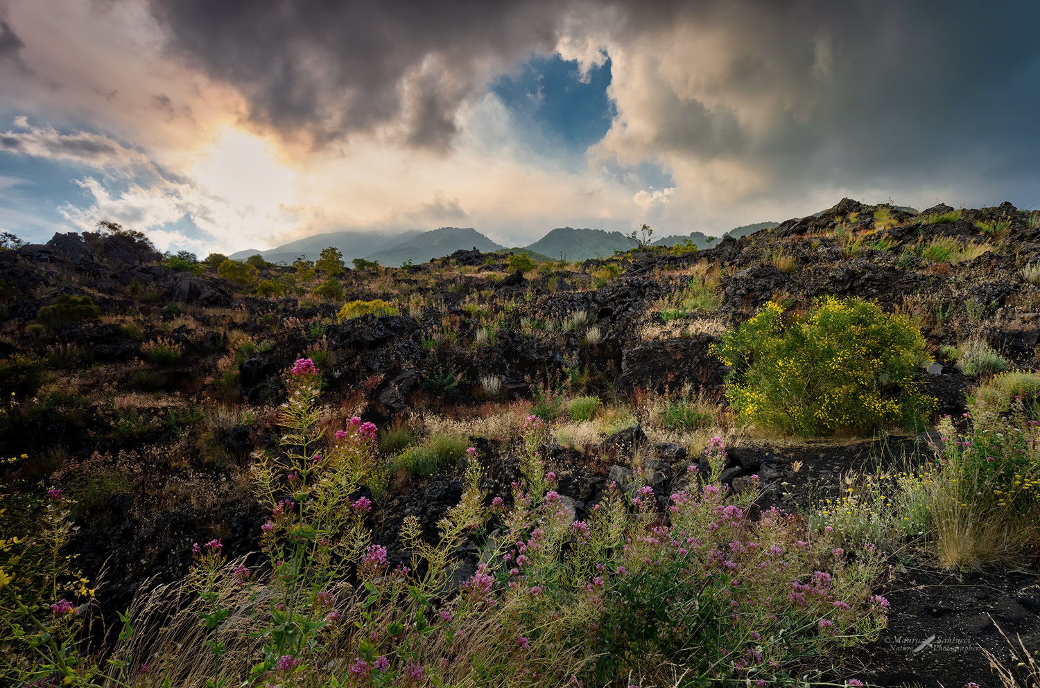 Ai-piedi-dell'Etna_DSC3829