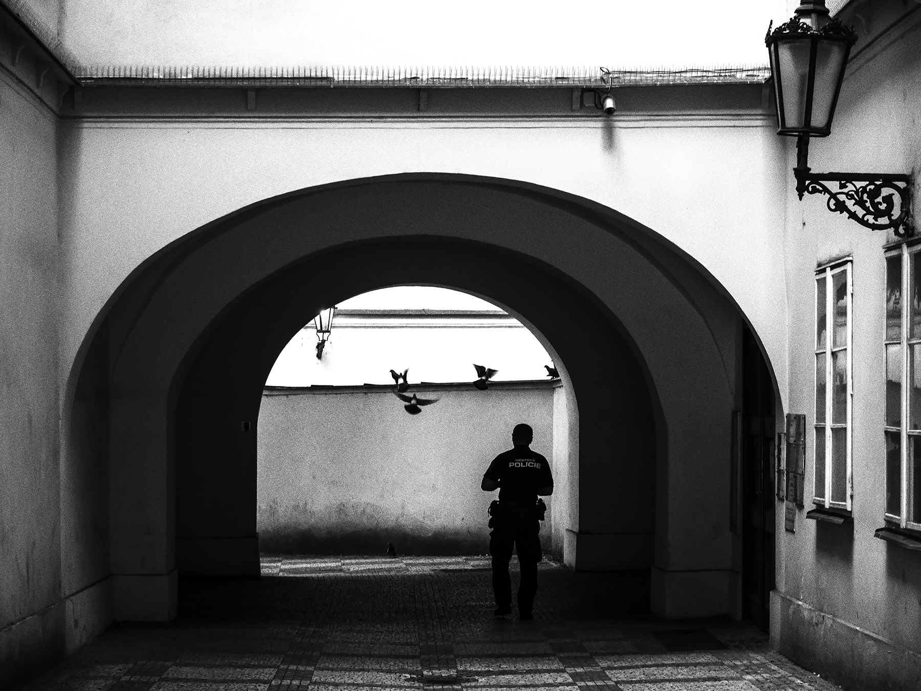 Critica al buio - Foto 061