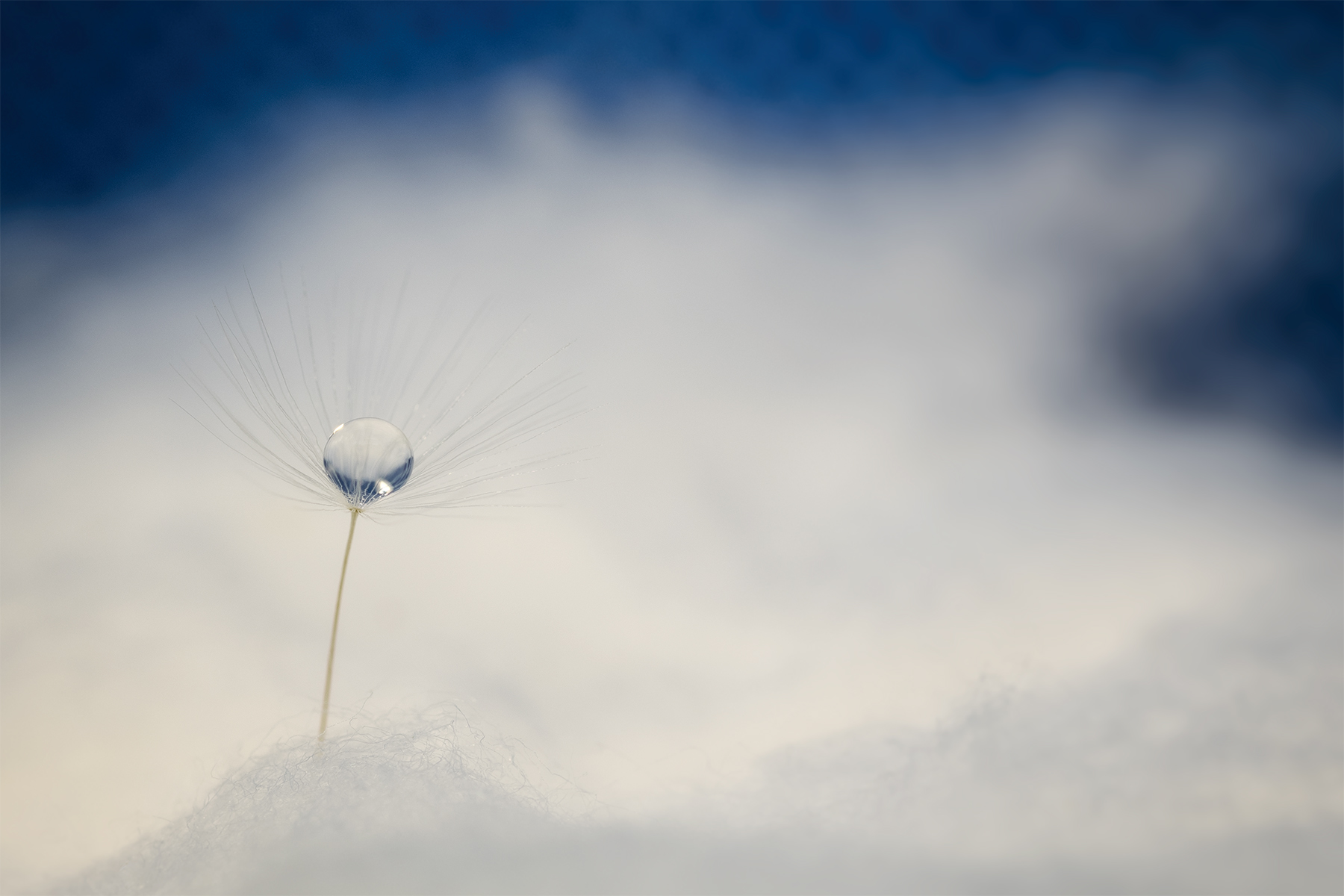 macro_home_aprile2020