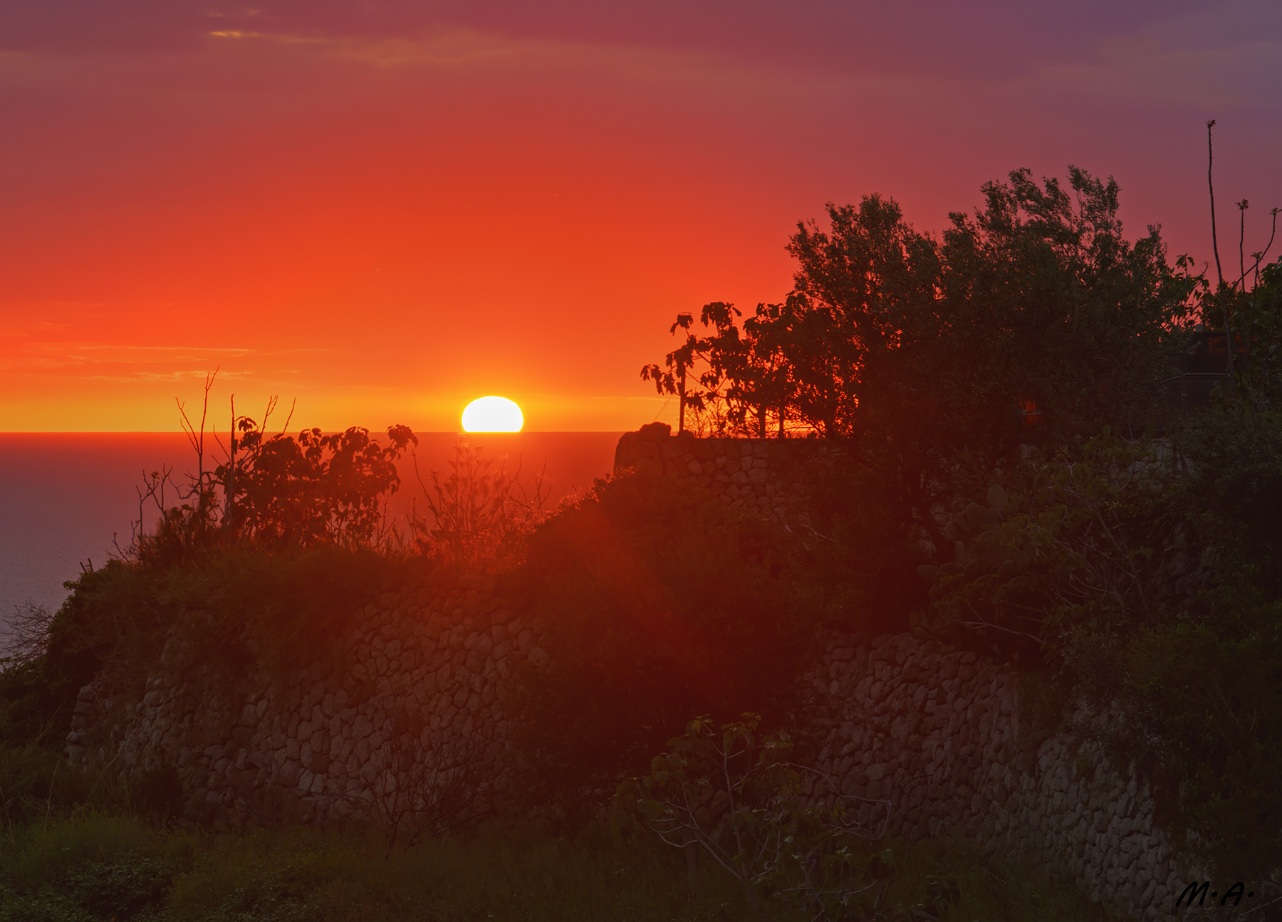 Pink - Tramonto sulle parracine