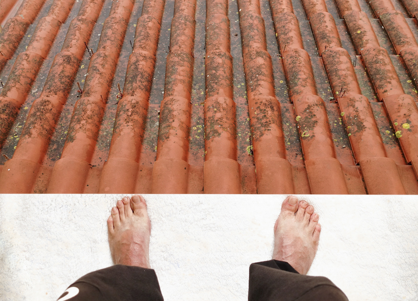 Stasera mi butto......