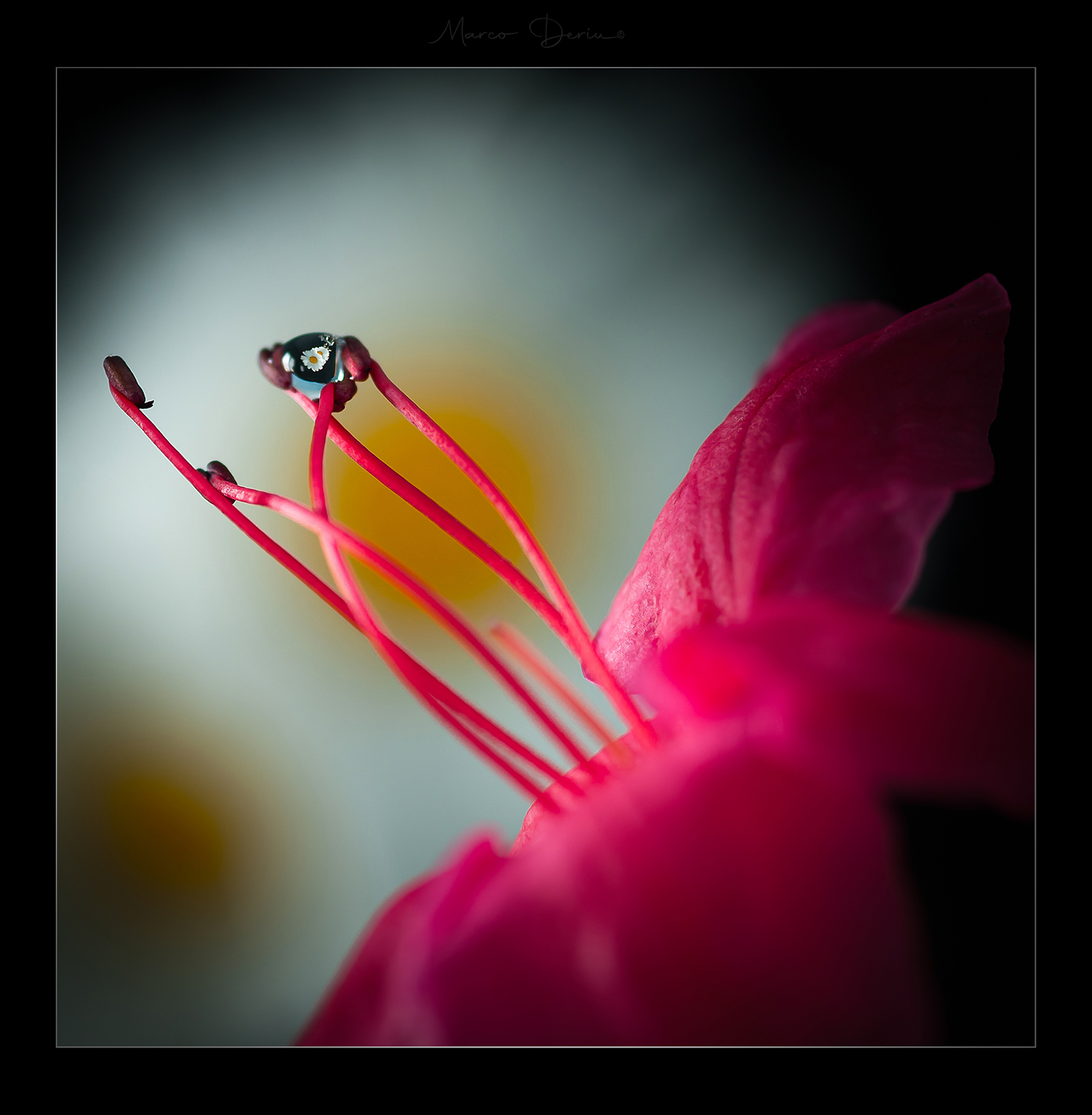 ......imprigionata.....