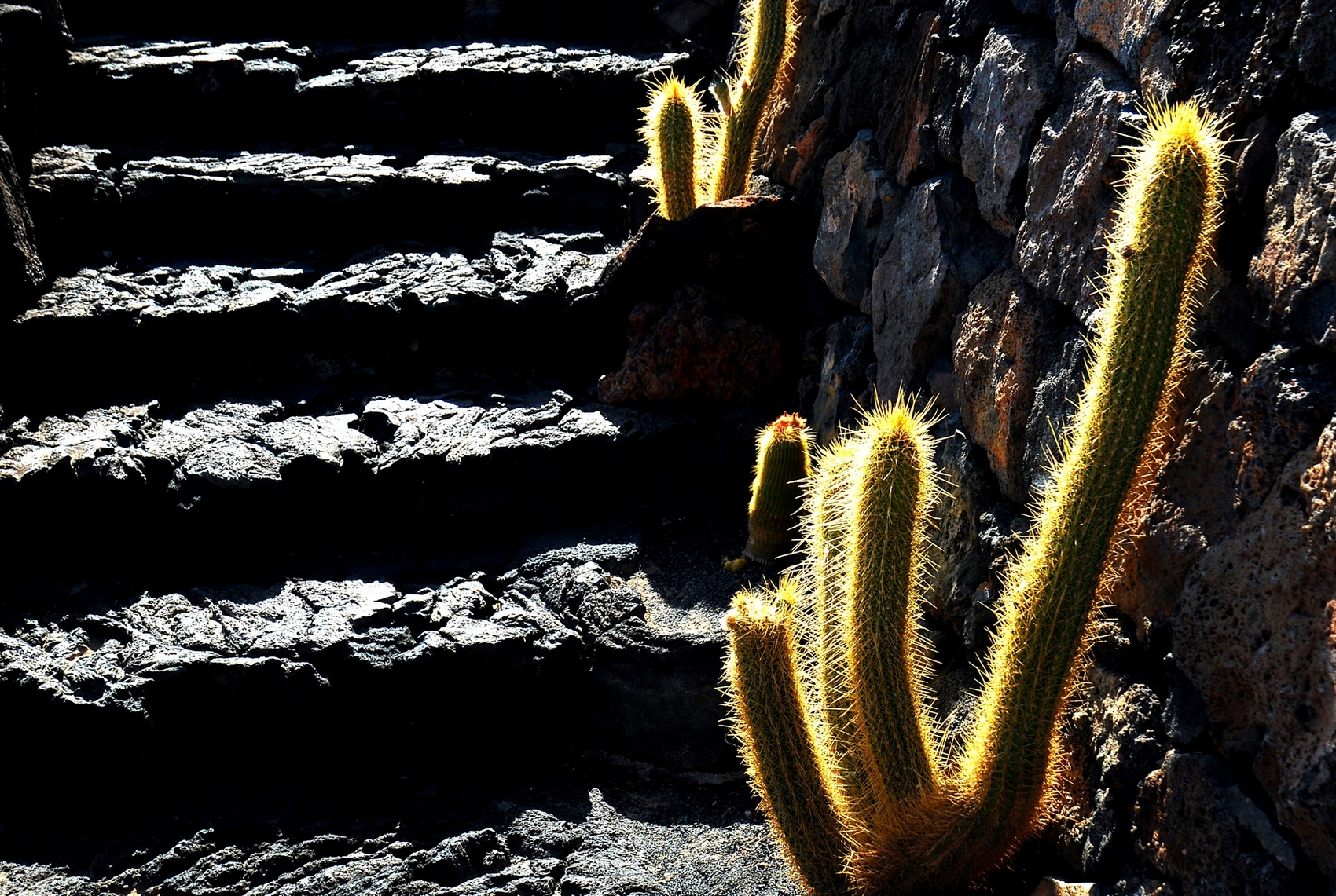 Giardino su lava, Lanzarote