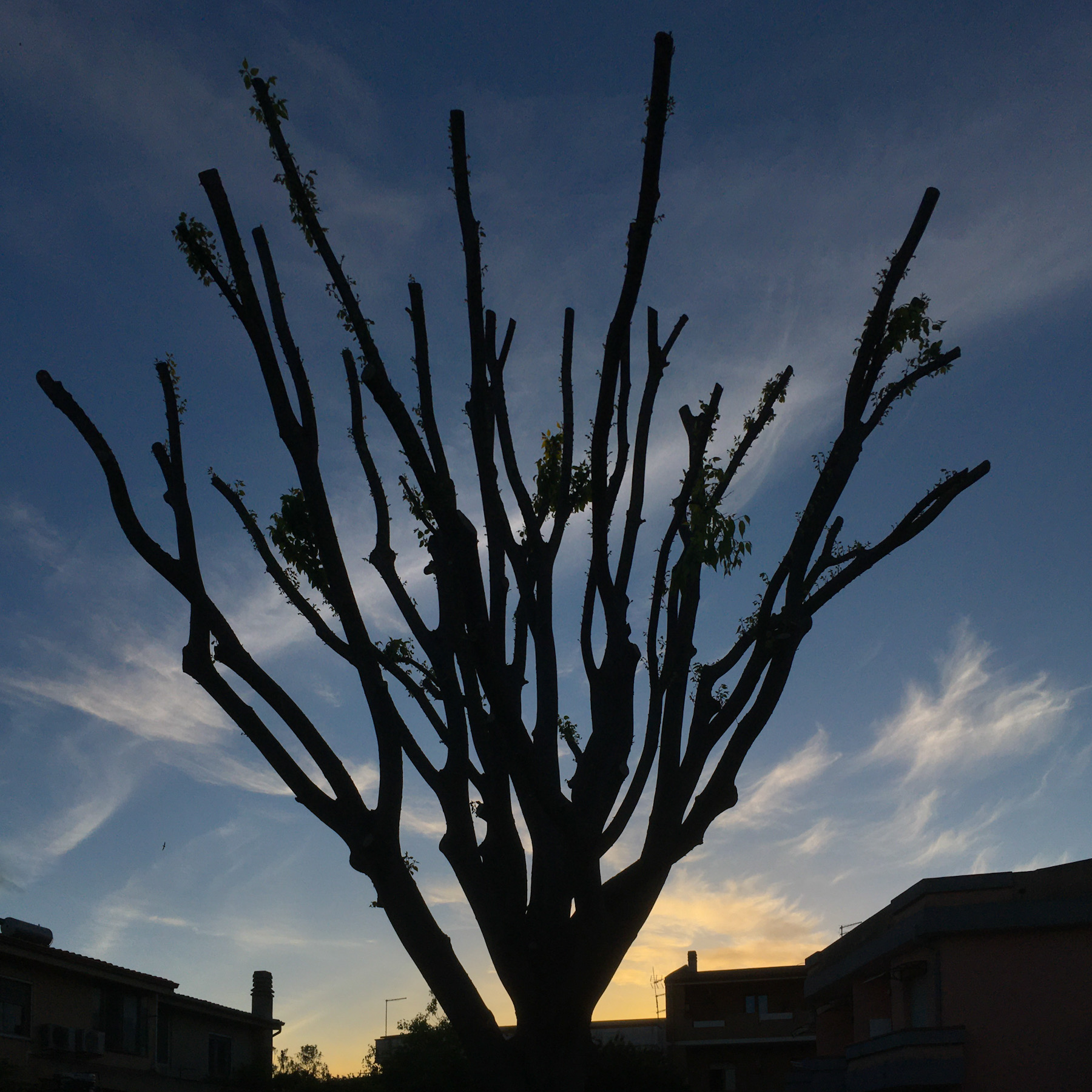 Oggi, all�imbrunire