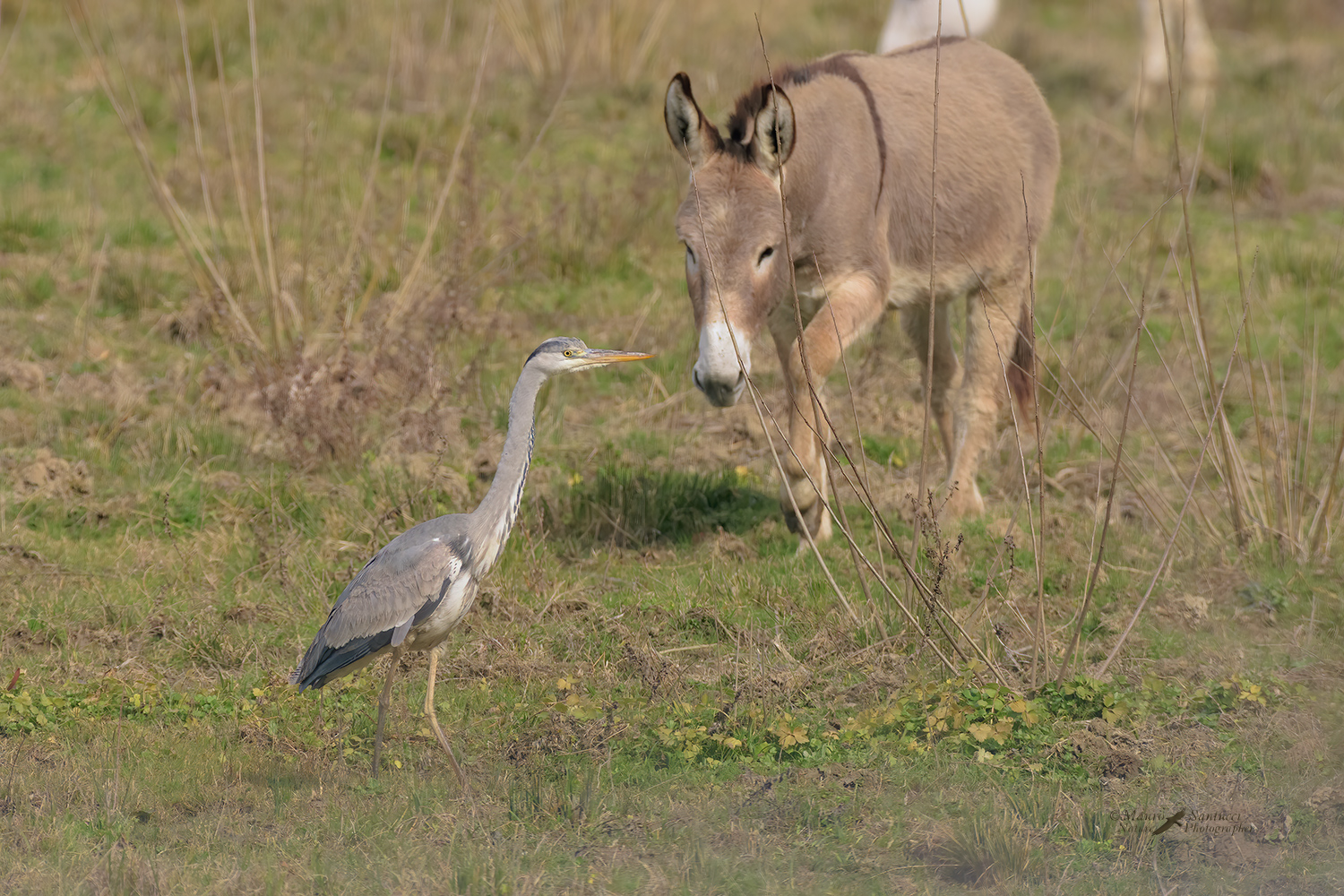 Strani-incontri_DSC0943